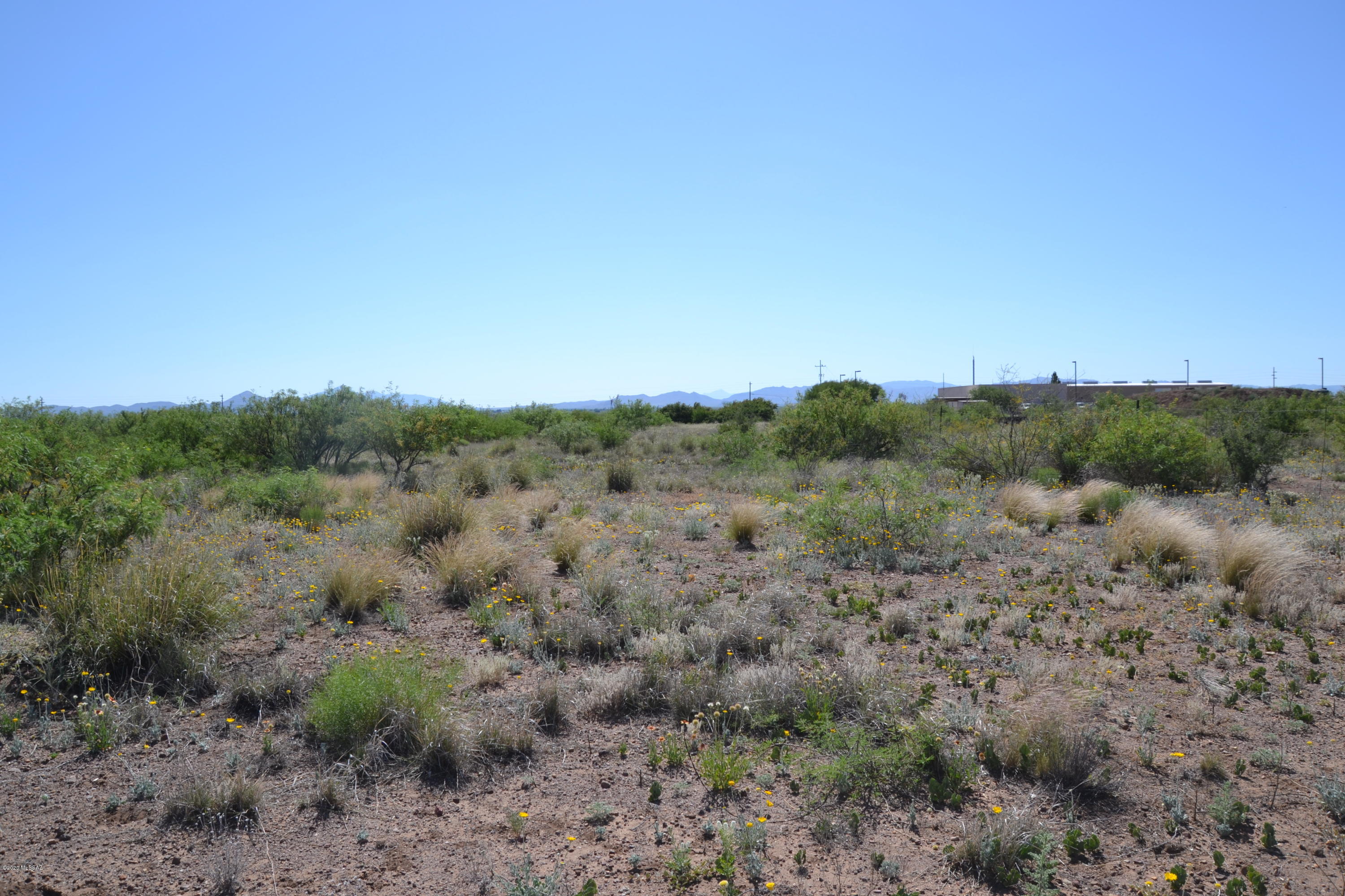 Out Of Pima County - Land
