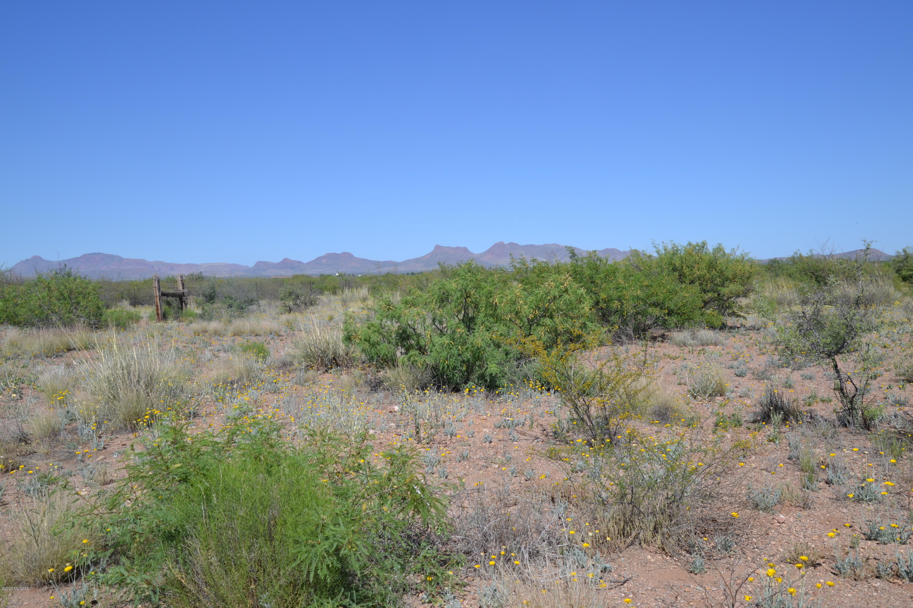 Out Of Pima County - Land