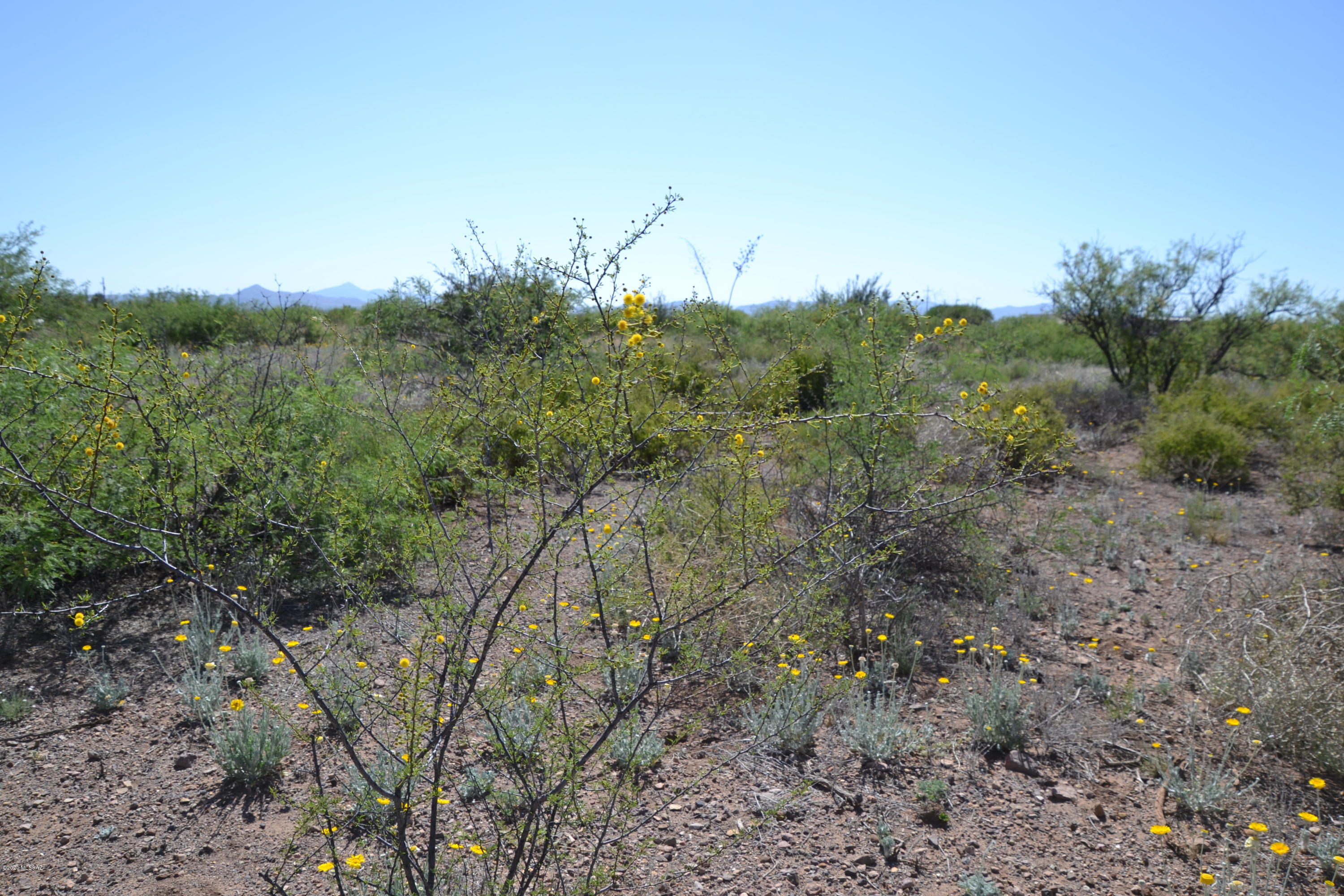 Out Of Pima County - Land
