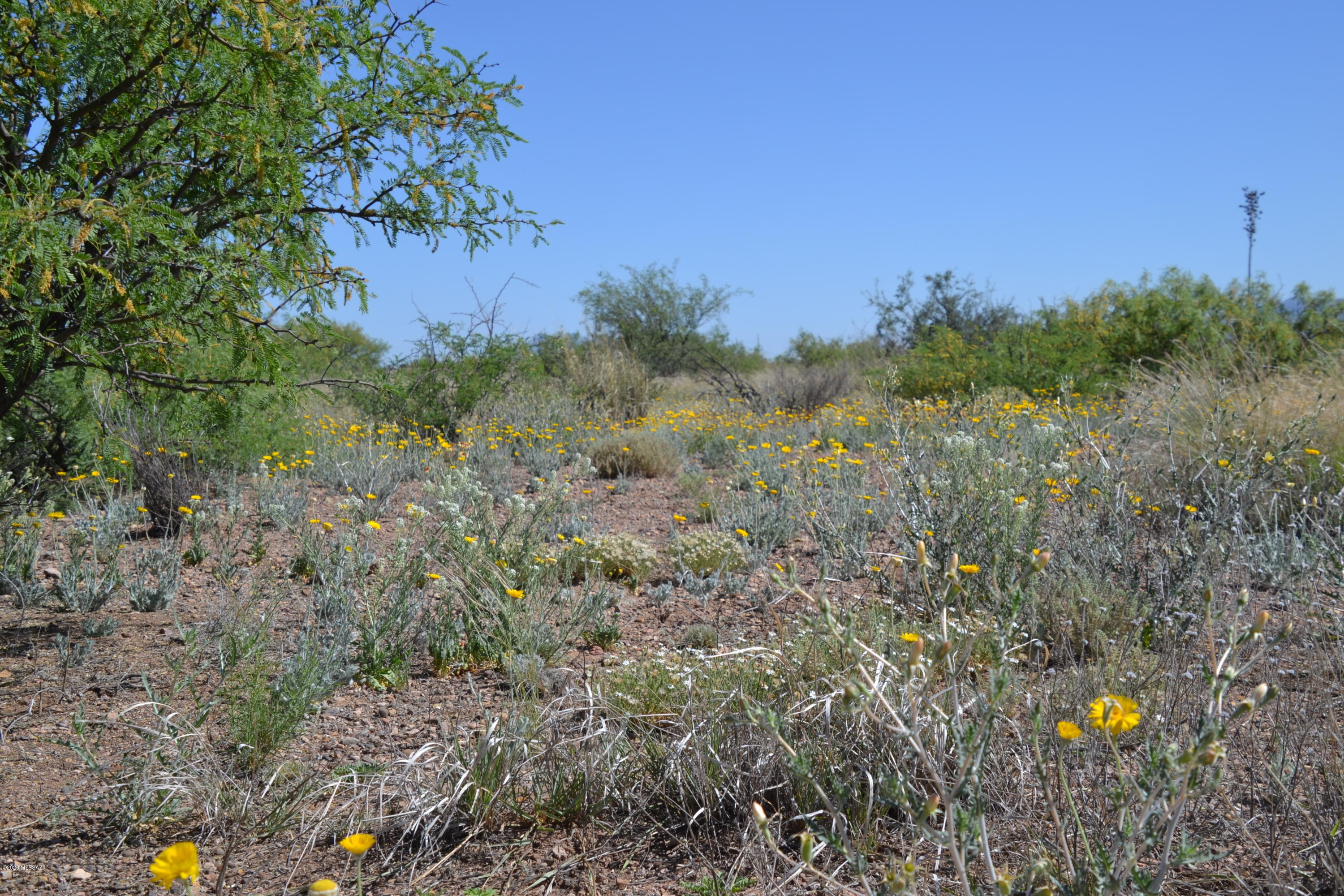 Out Of Pima County - Land