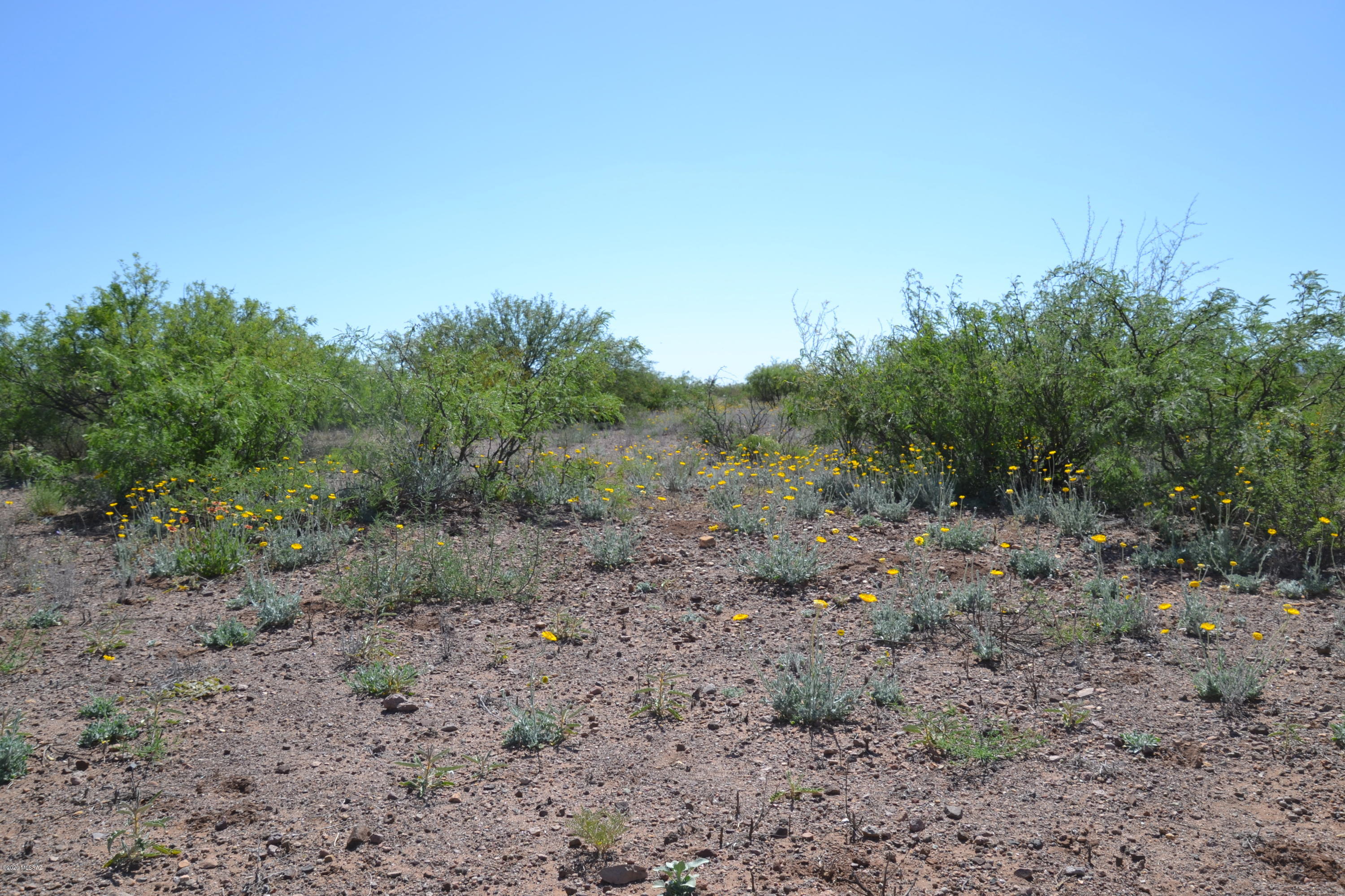 Out Of Pima County - Land