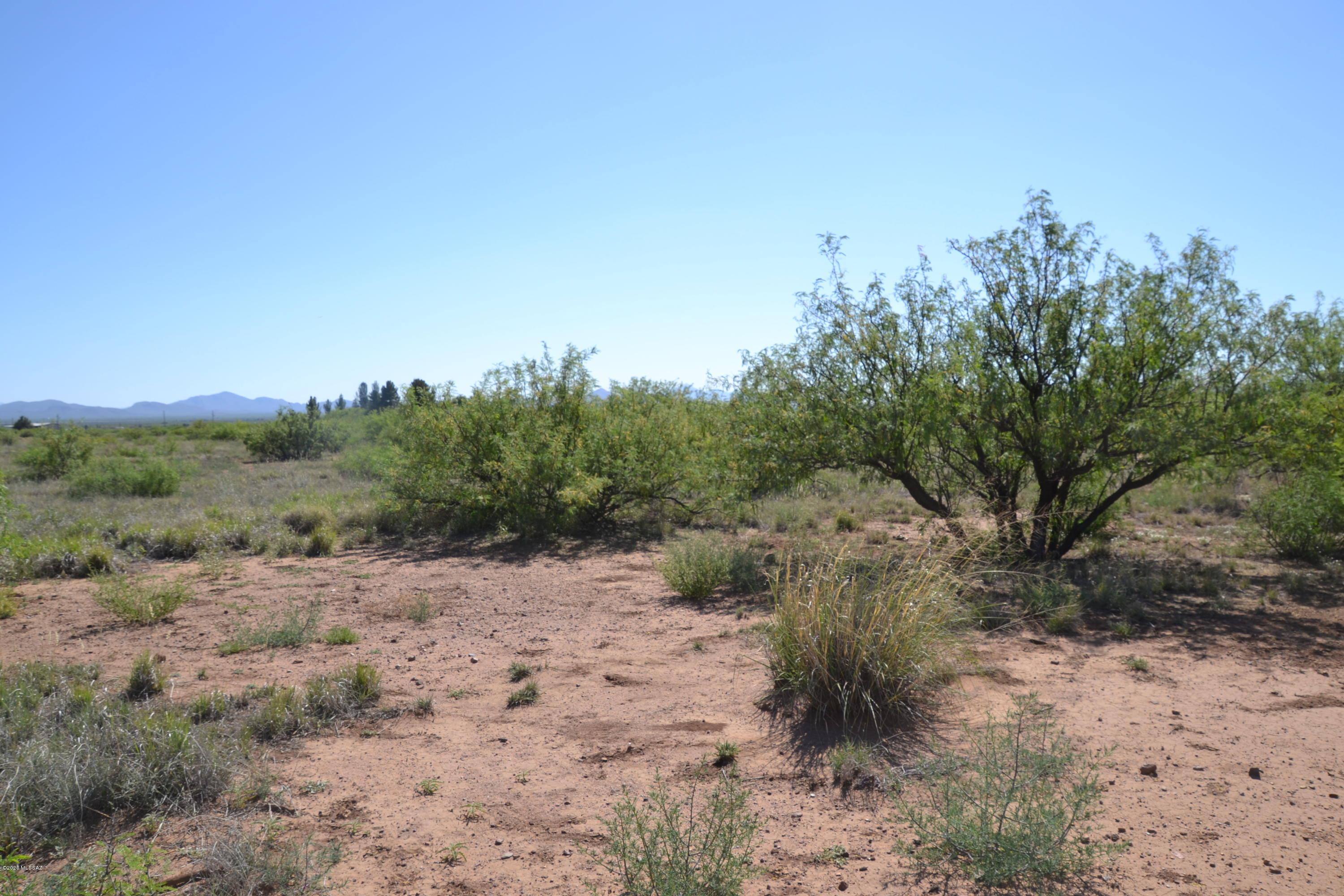Out Of Pima County - Land