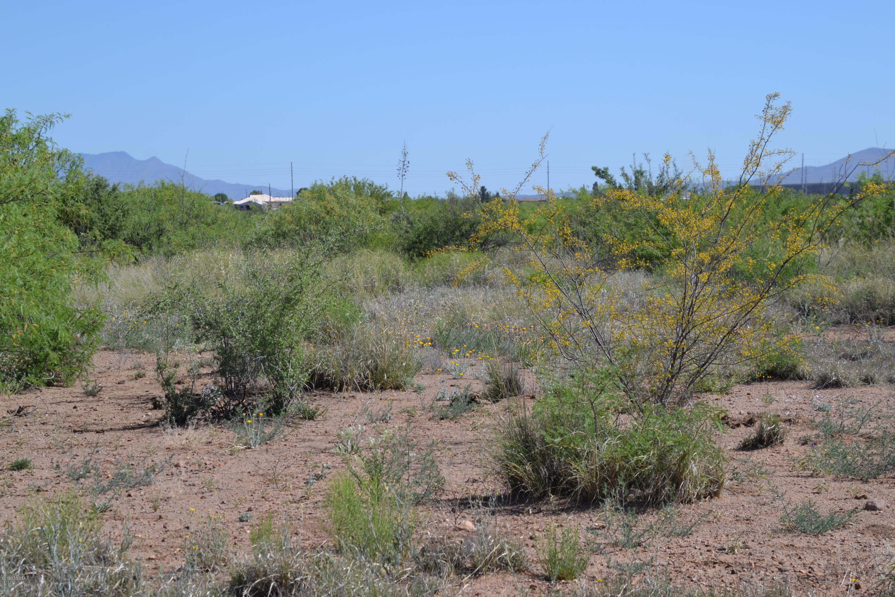 Out Of Pima County - Land