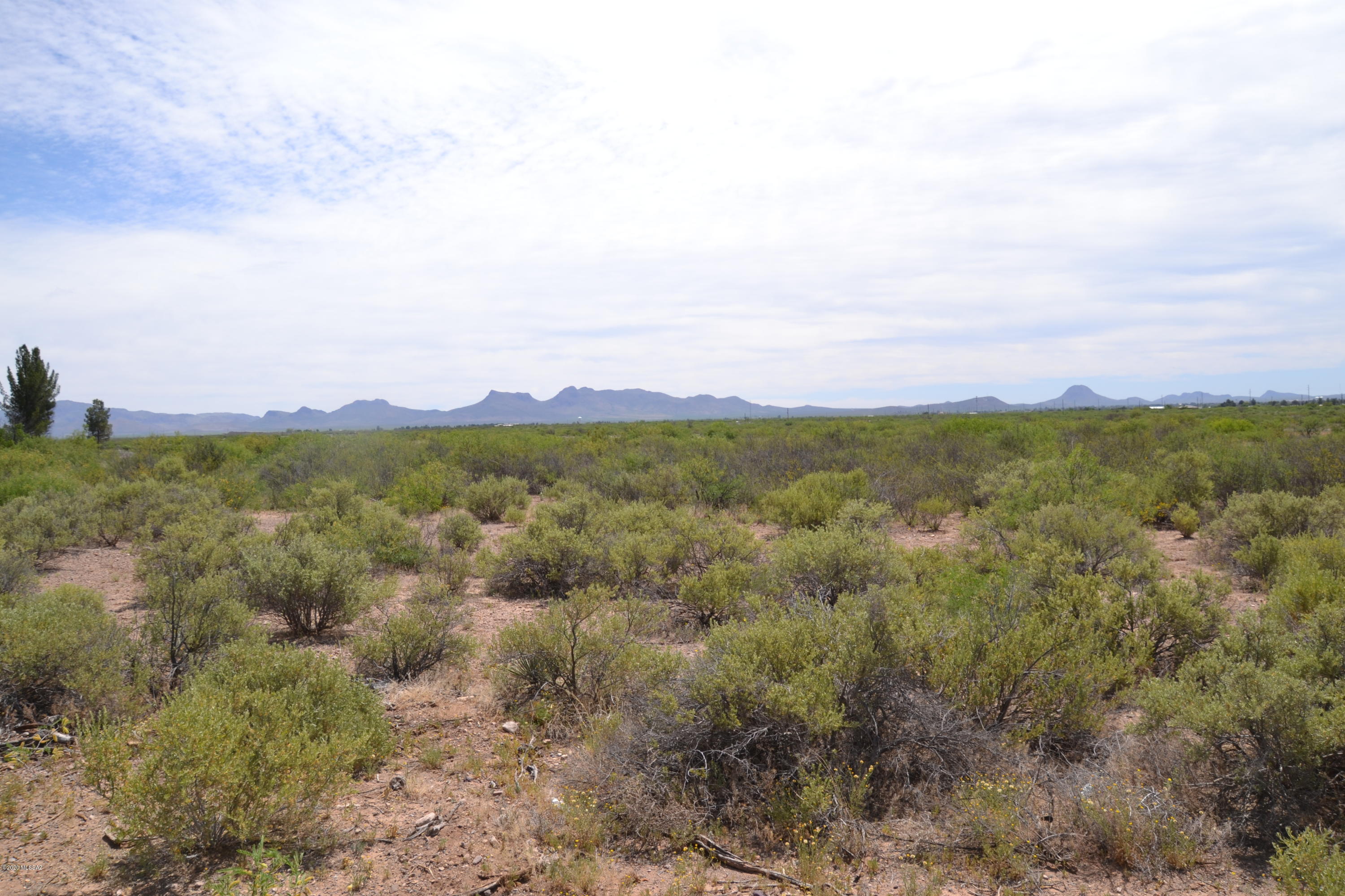 Out Of Pima County - Land