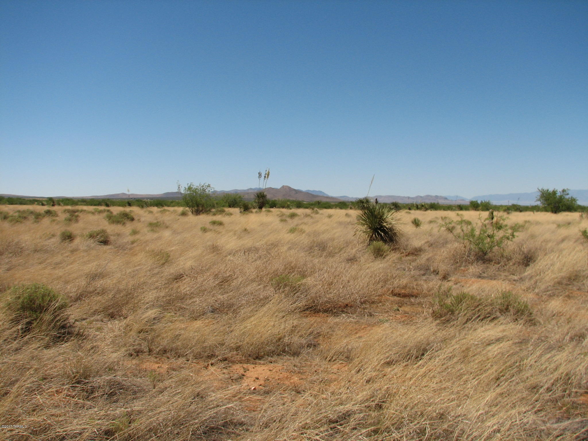 Beautiful private setting with amazing mountain views.  Desert grasses, yucca, mesquite.  Manufactured homes or site built allowed.   No parcel splits to smaller than eight acres to keep that country feel.   Farm animals allowed except no swine.   Great price for 36 acres !
Price reduced for a 2018 closing !