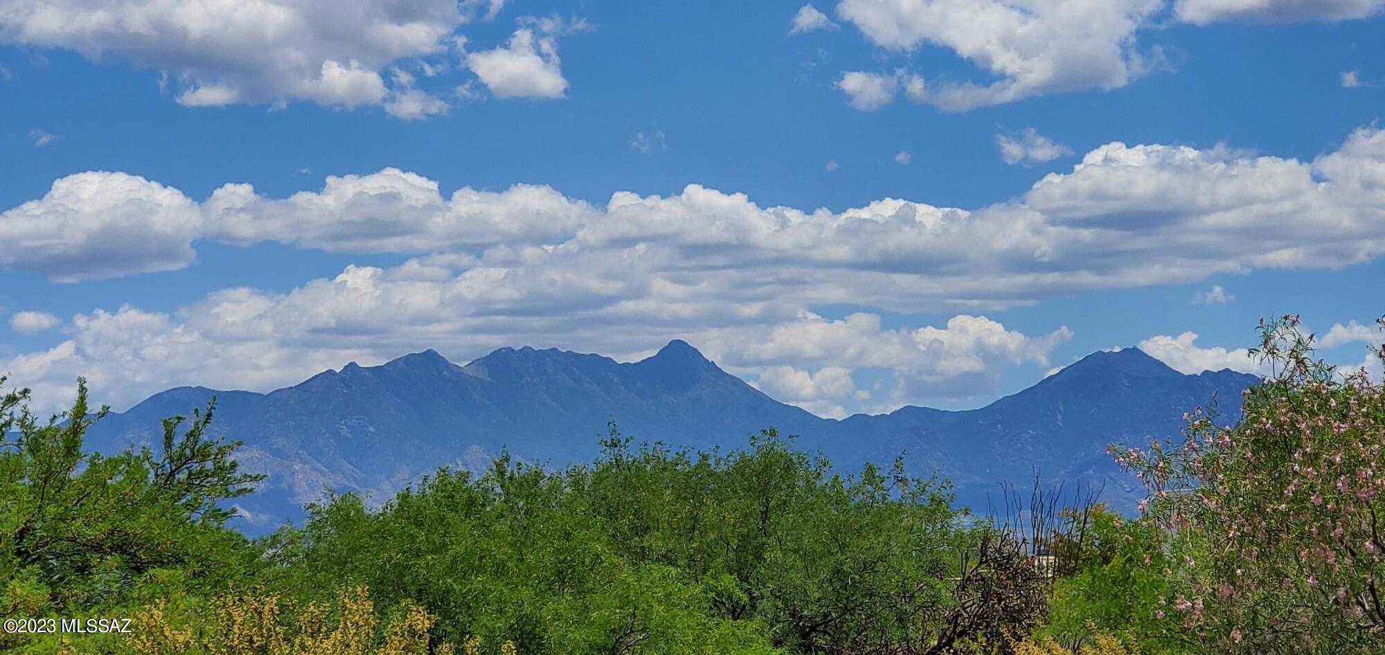 Stunning Santa Rita Mountain Views from this centrally located 2 Bedroom, 2 Bath 1,550 sq ft remodeled townhome inc. permitted 459 sq ft addition. No front or back neighbors. Updated kitchen features Butcher Block Prep Table & Pantry cabinet. Lg. Primary bedroom w/Ensuite bath & Walk-in Shower. Laminate flooring in kitchen & bedrooms, tile in bathrooms, newer carpet in living areas. Stack W/D. All Furnishings stay if you wish. Newer windows except guestroom. Owned solar for low utility bills. Roof recoated in April 2023. Well maintained HVAC. 2 Exterior Storage Rooms. Exterior San-cote Stucco finish. Professionally landscaped frt. yard w/drip system. Backyard extends beyond bk patio. HOA Walking Trails + numerous GVR Amenities, Golf, Restaurants, Farmer's Market, Shopping & Medical Nearby!