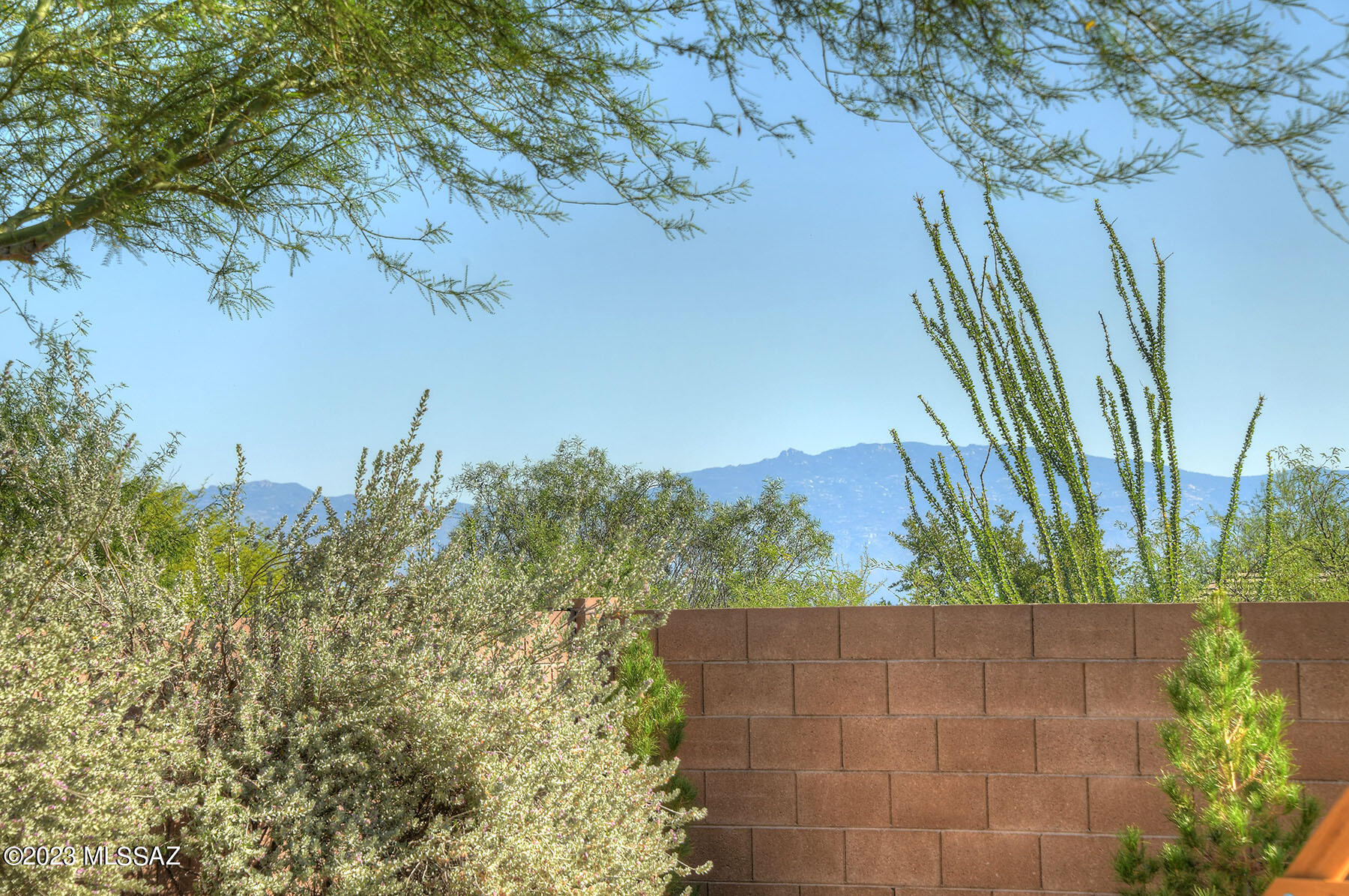 Sycamore Canyon (1-485) - Residential
