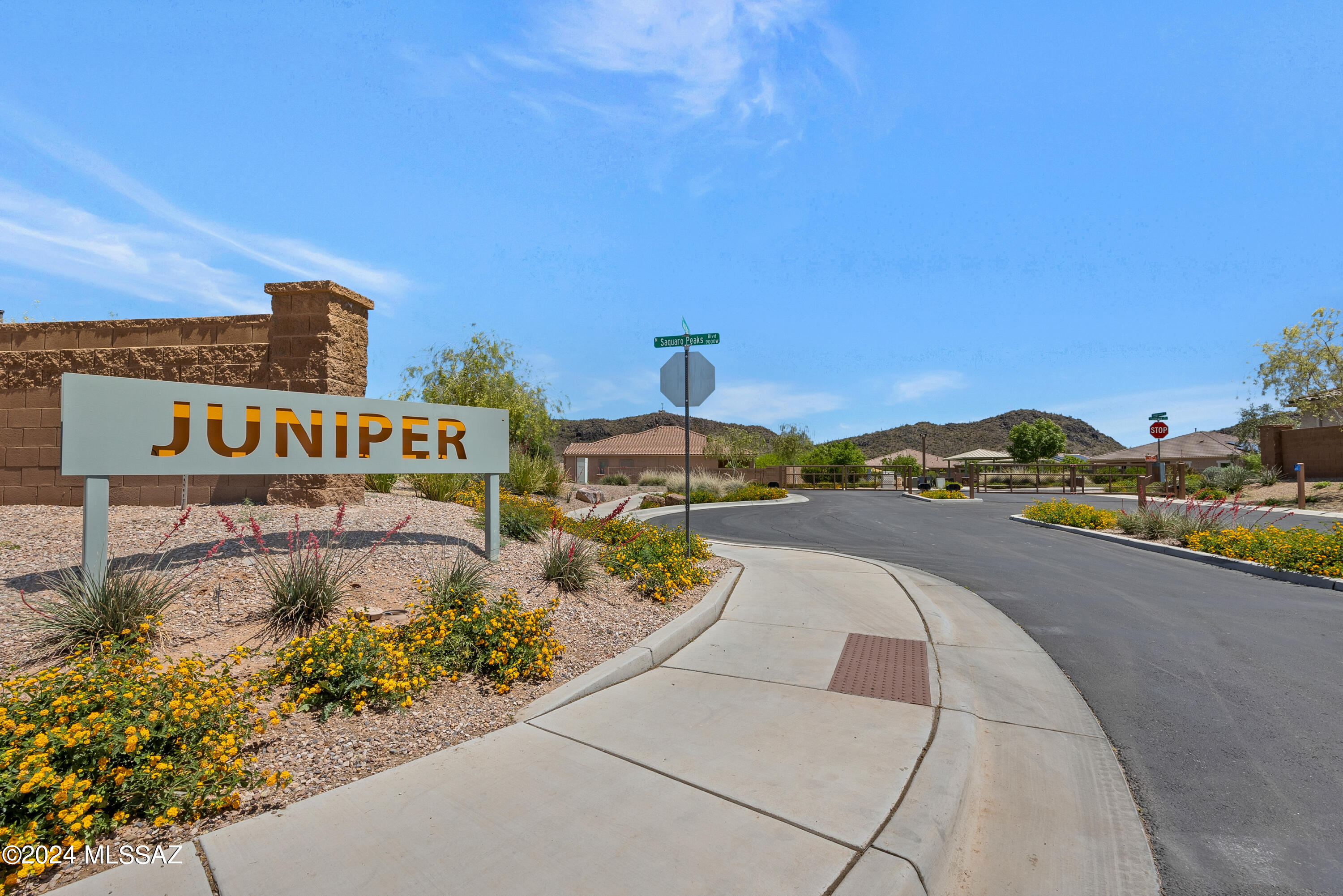 Saguaro Springs Block 8A (1-130) - Residential