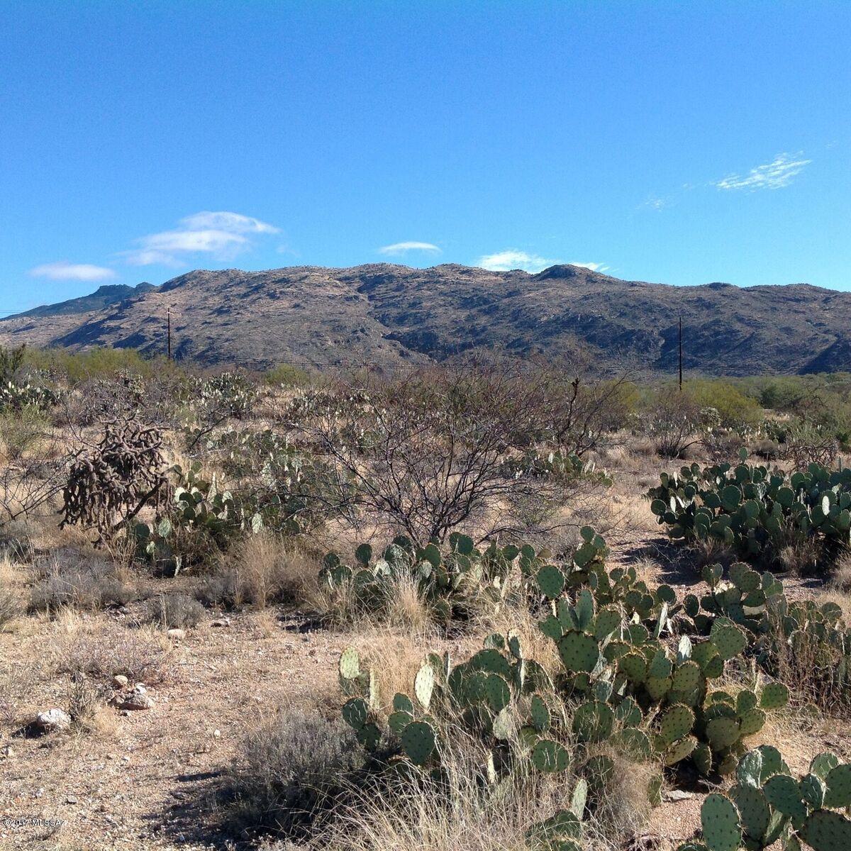 Saguaro Monument Estates - Land
