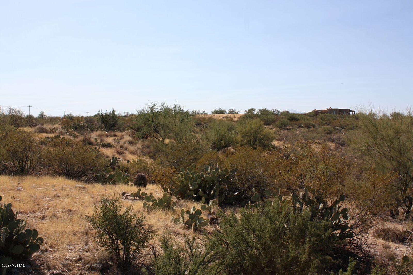 Saguaro Monument Estates - Land