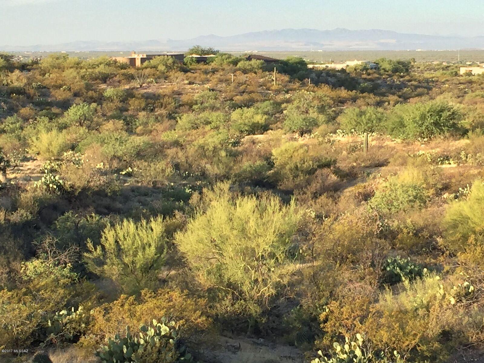 Saguaro Monument Estates - Land