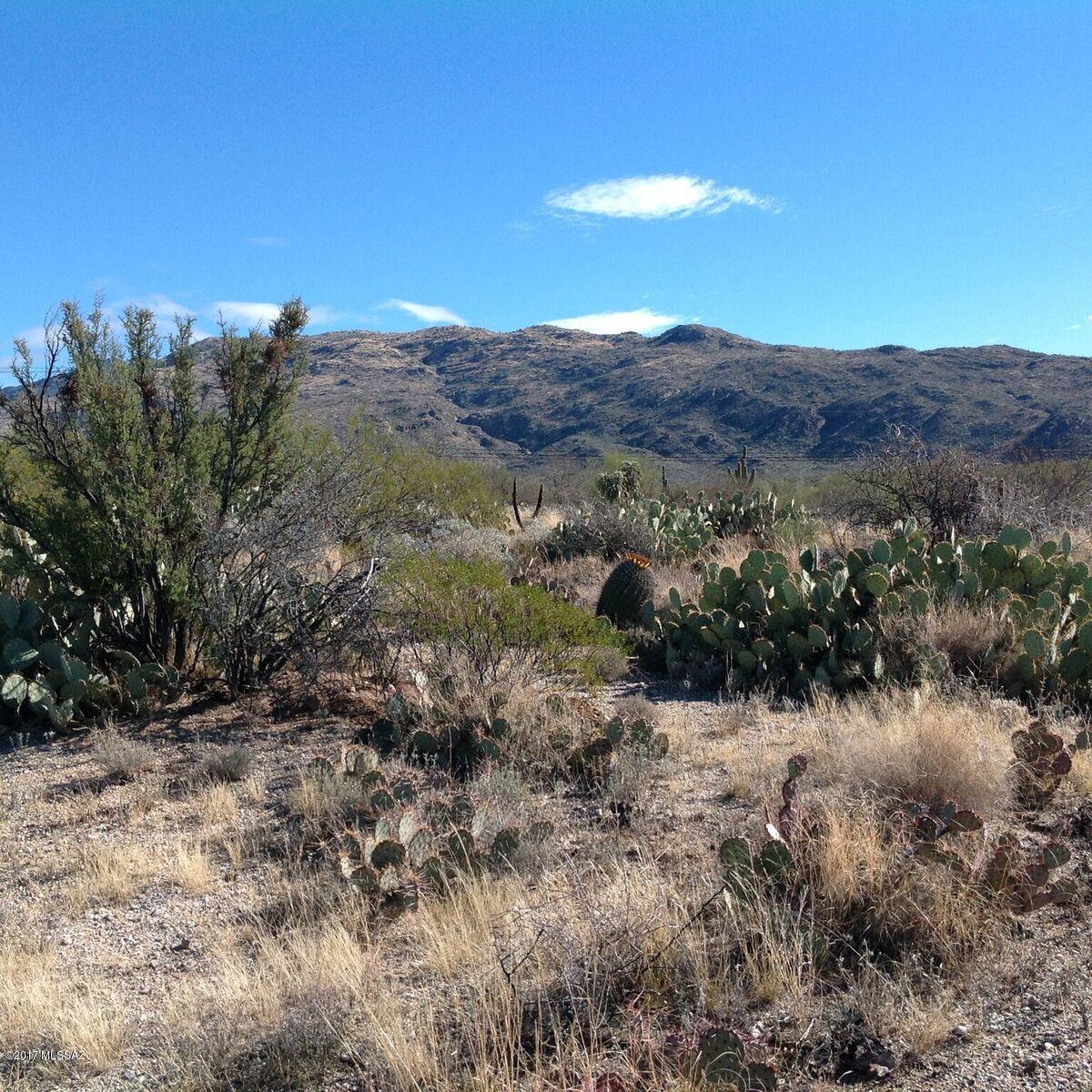 Saguaro Monument Estates - Land