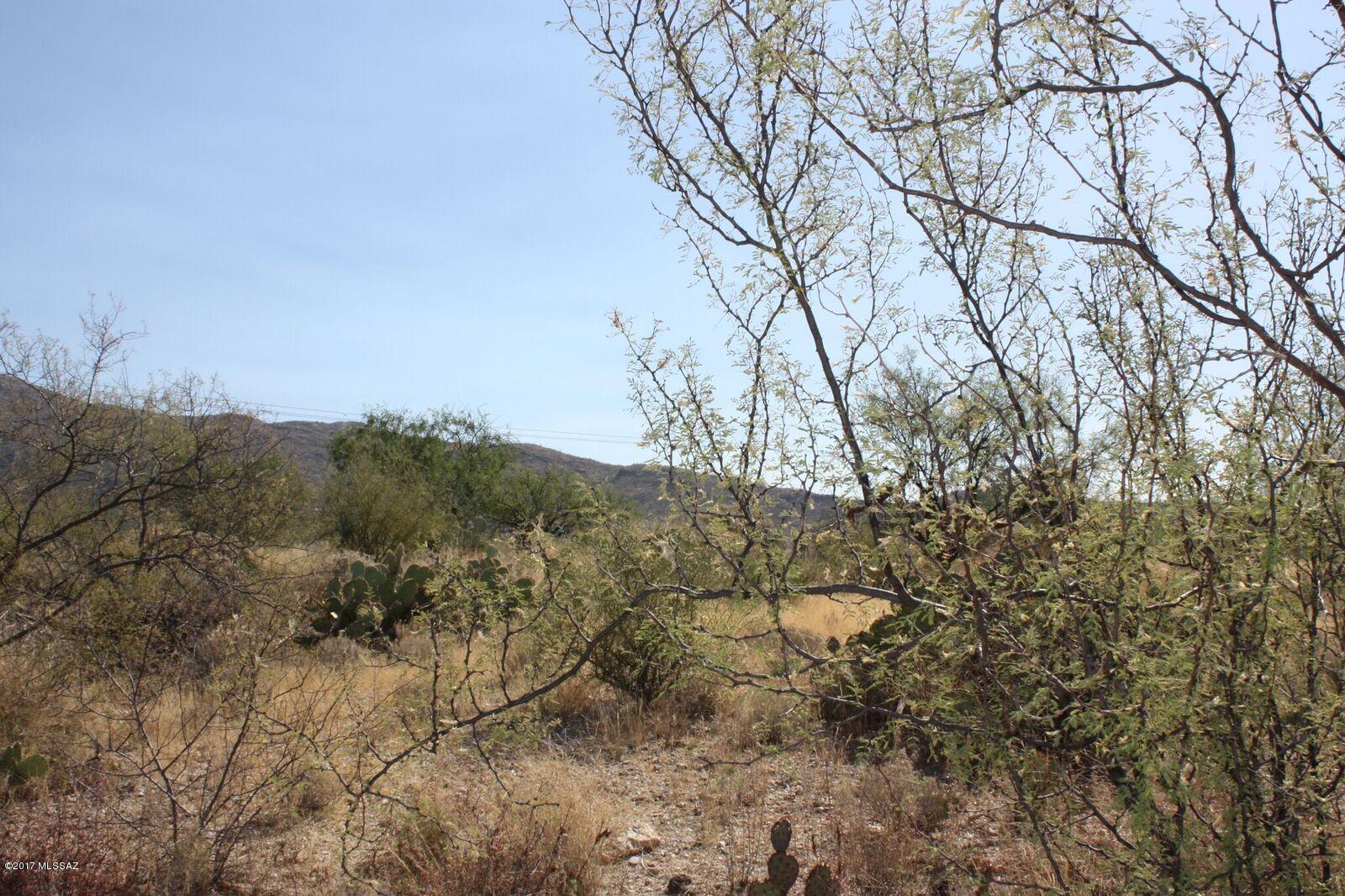 Saguaro Monument Estates - Land