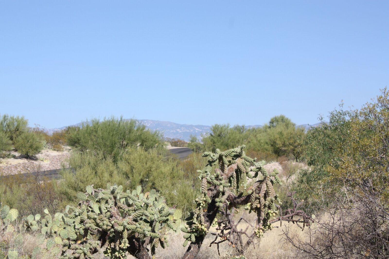 Saguaro Monument Estates - Land