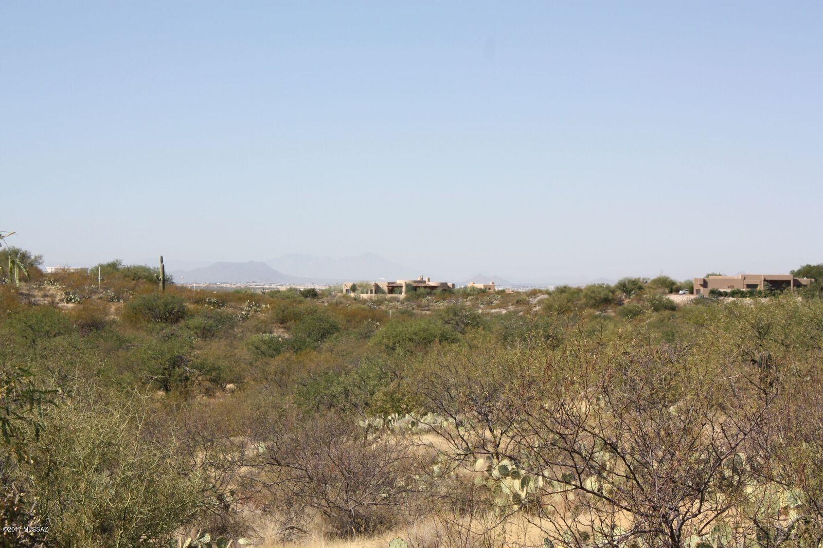 Saguaro Monument Estates - Land