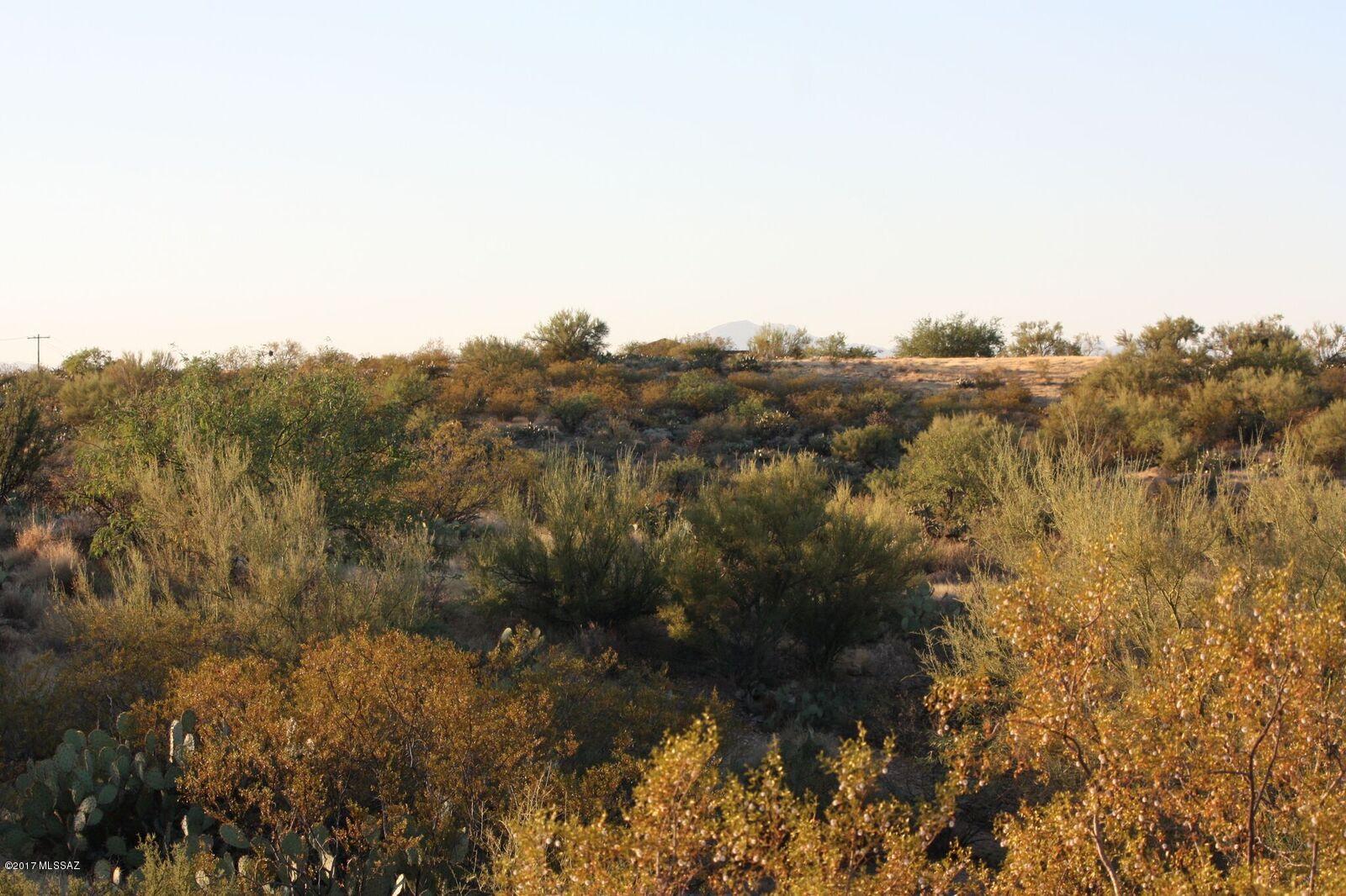 Saguaro Monument Estates - Land
