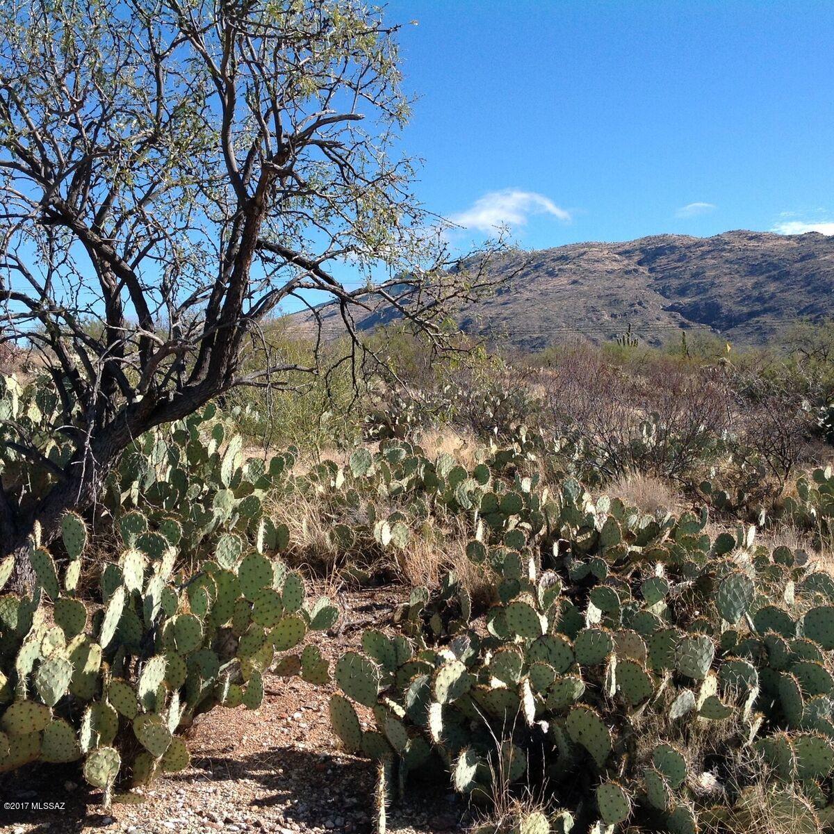 Saguaro Monument Estates - Land