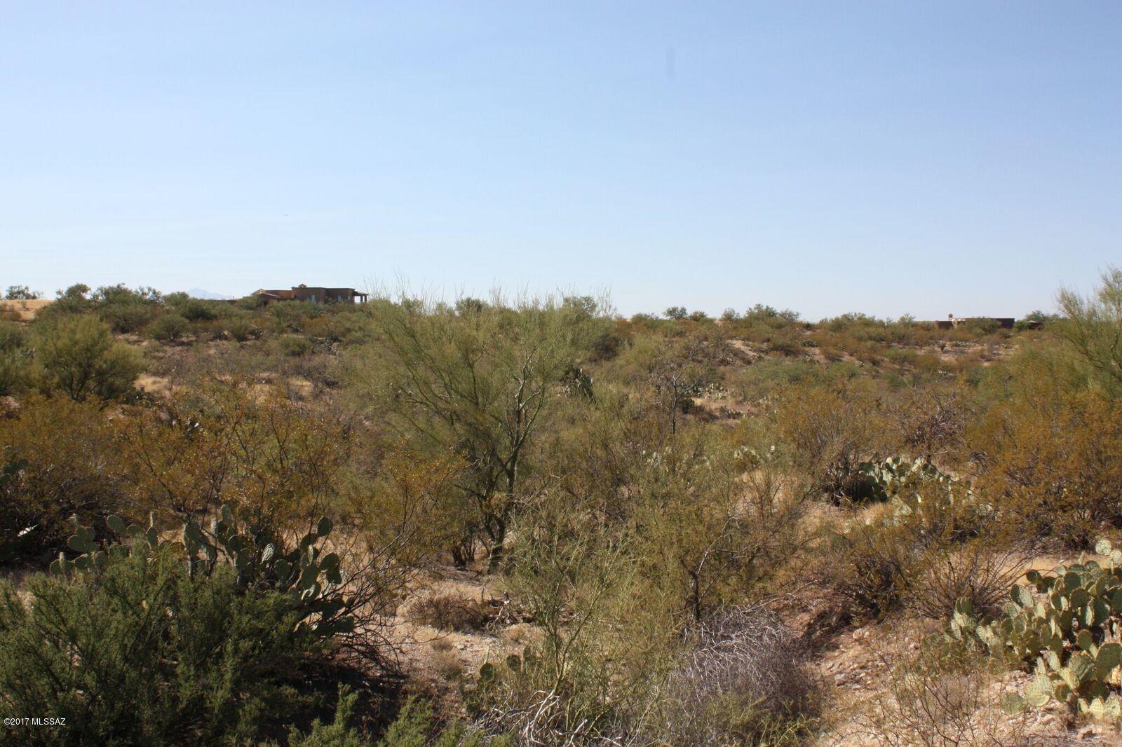 Saguaro Monument Estates - Land