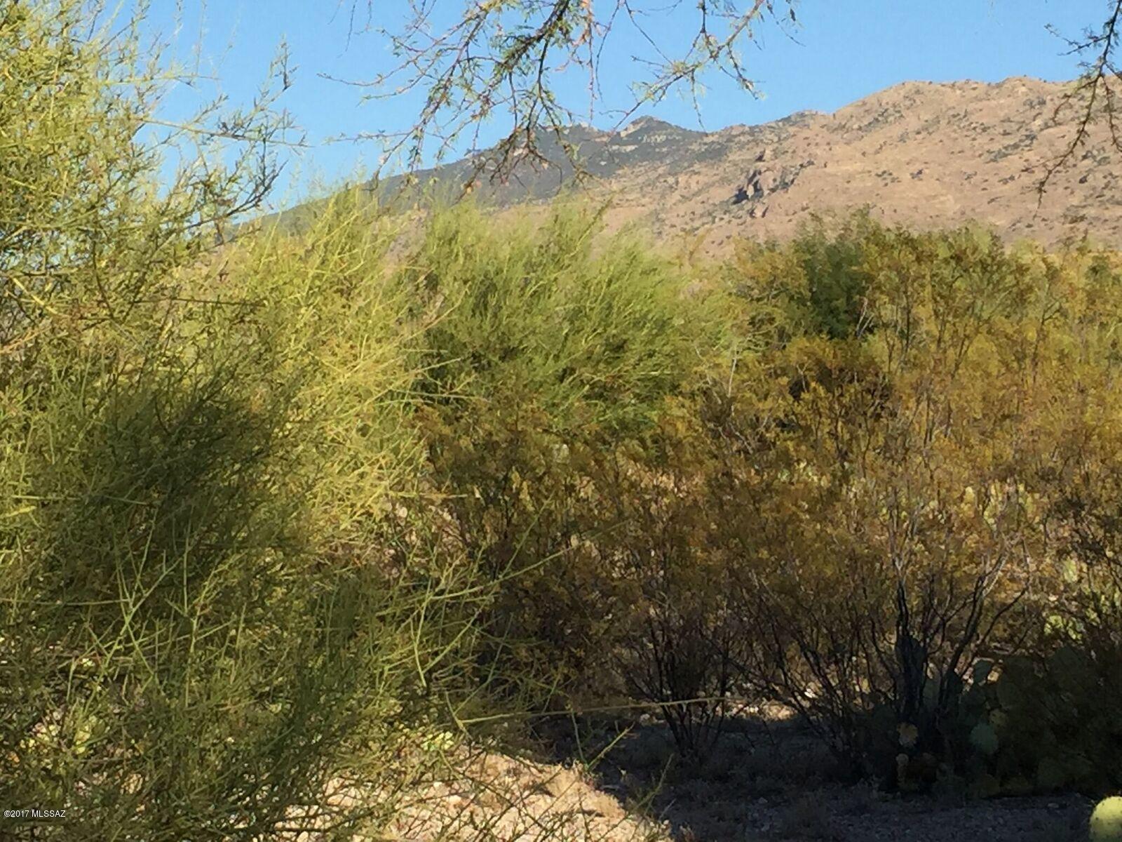 Saguaro Monument Estates - Land