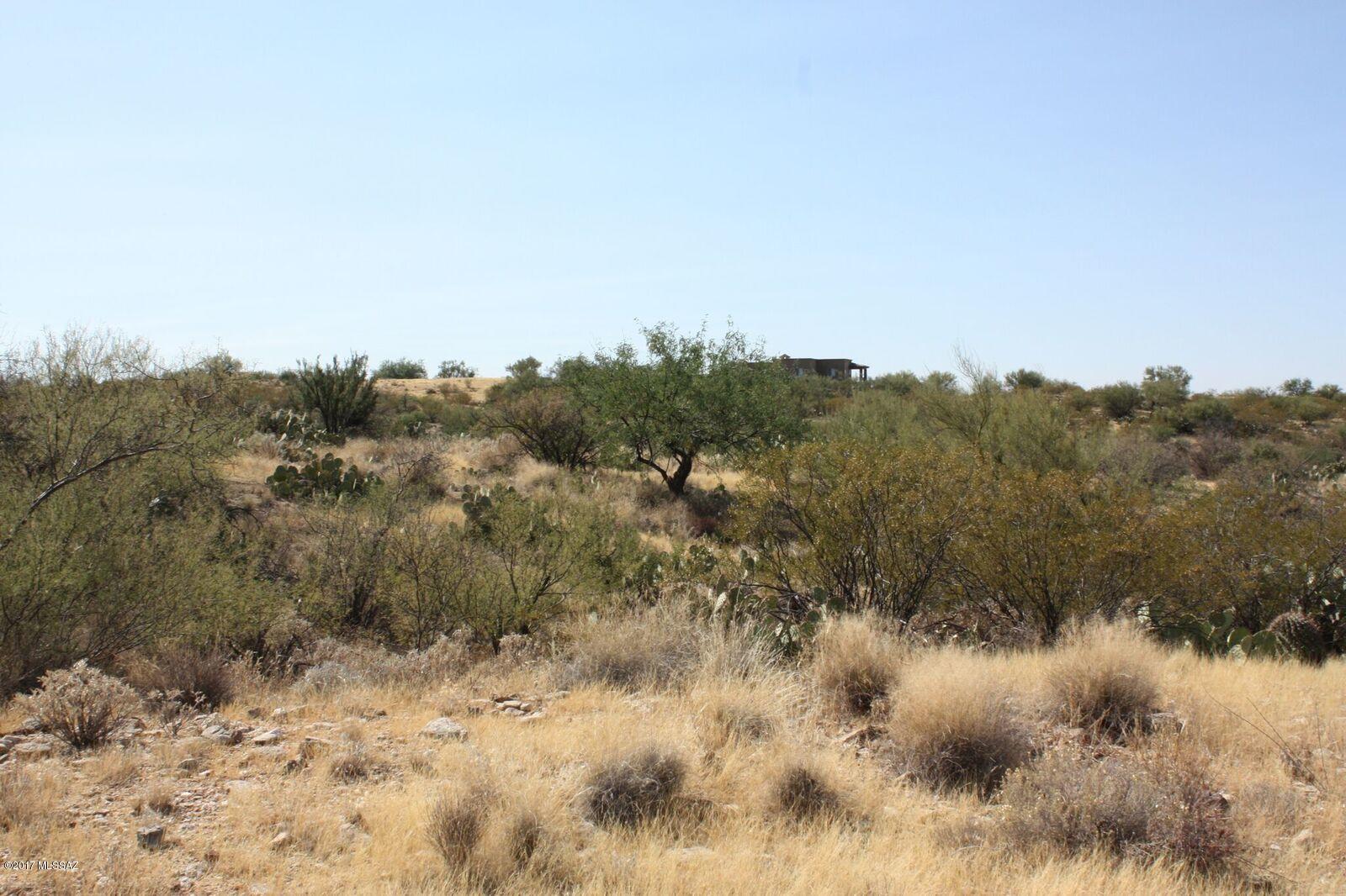 Saguaro Monument Estates - Land