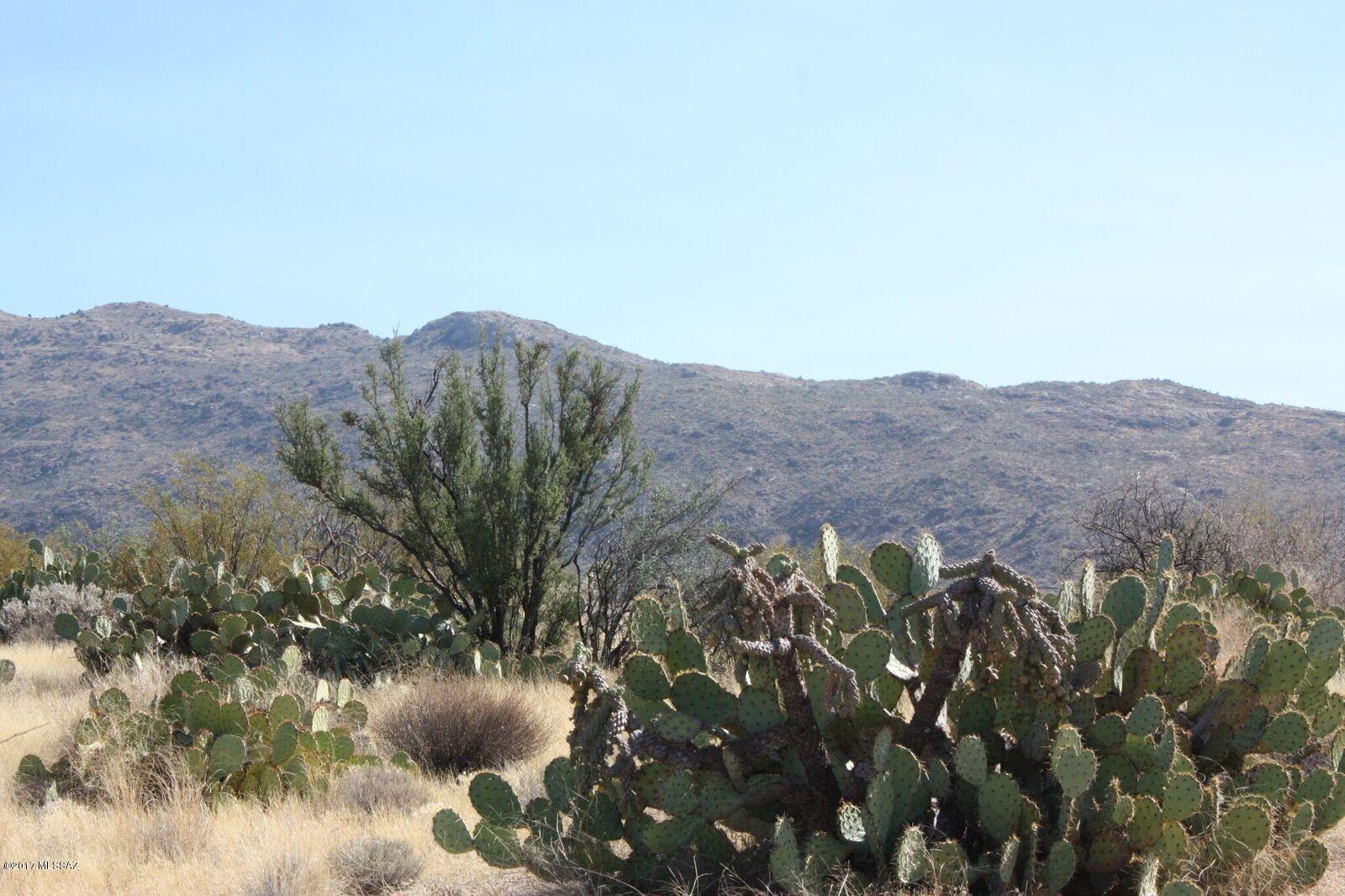 Saguaro Monument Estates - Land