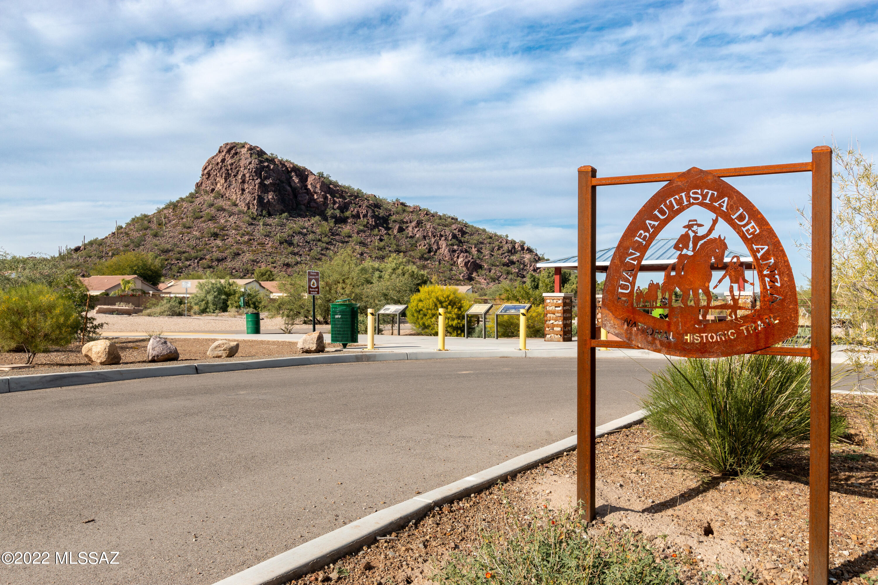 Saguaro Bloom SQ20180540069 - Residential