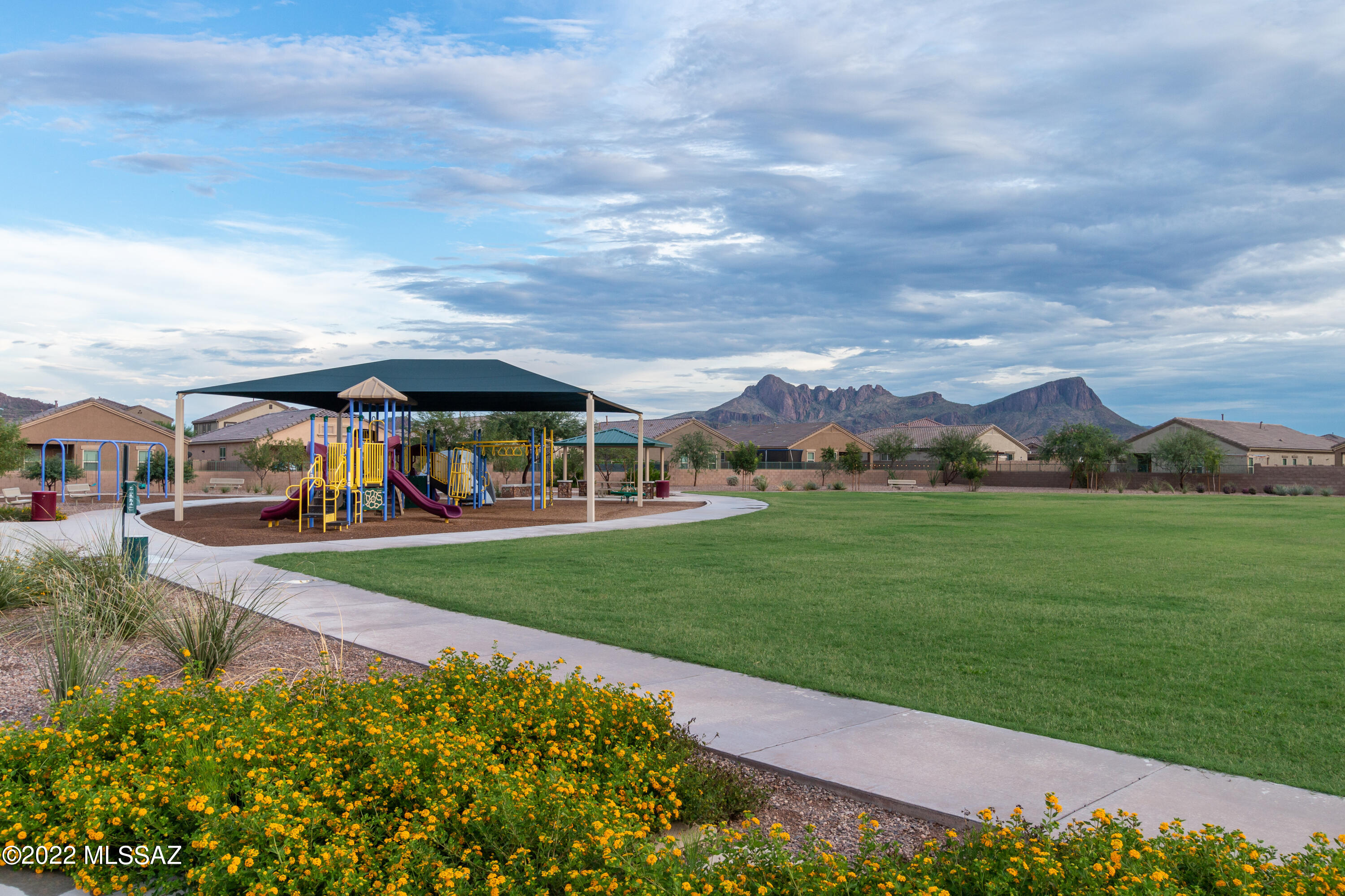 Saguaro Bloom SQ20180540069 - Residential