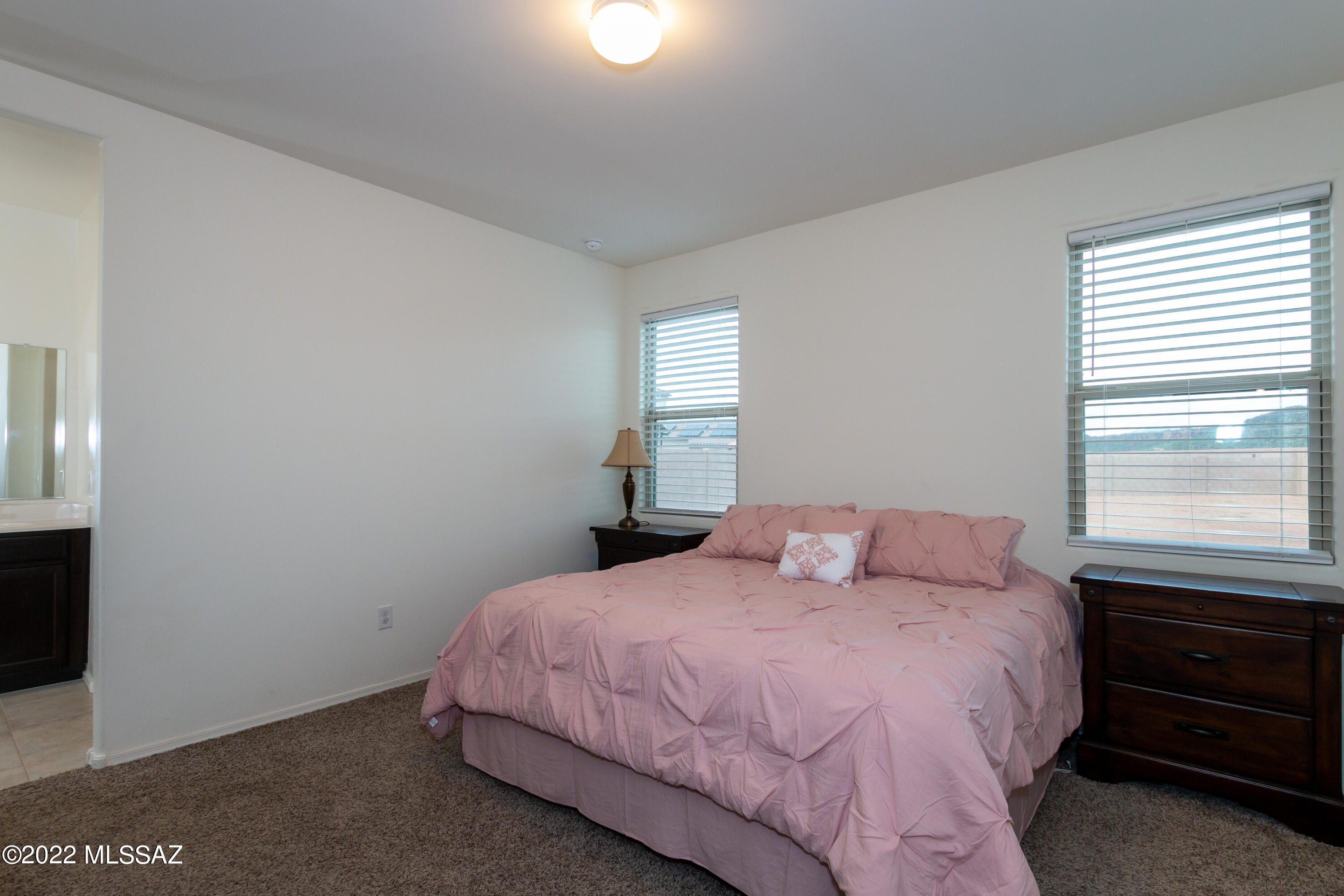 Saguaro Bloom SQ20180540069 - Residential