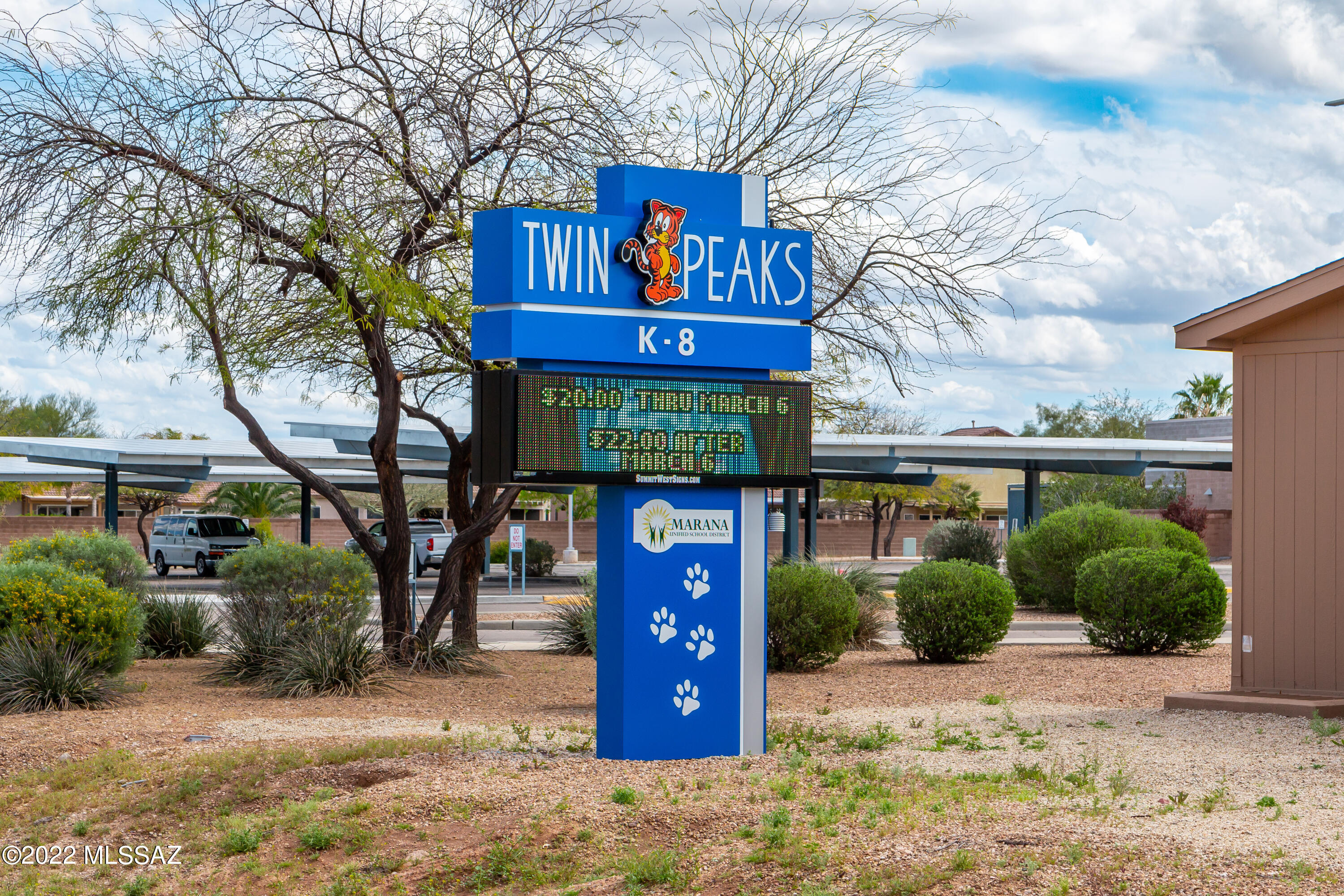 Saguaro Bloom SQ20180540069 - Residential
