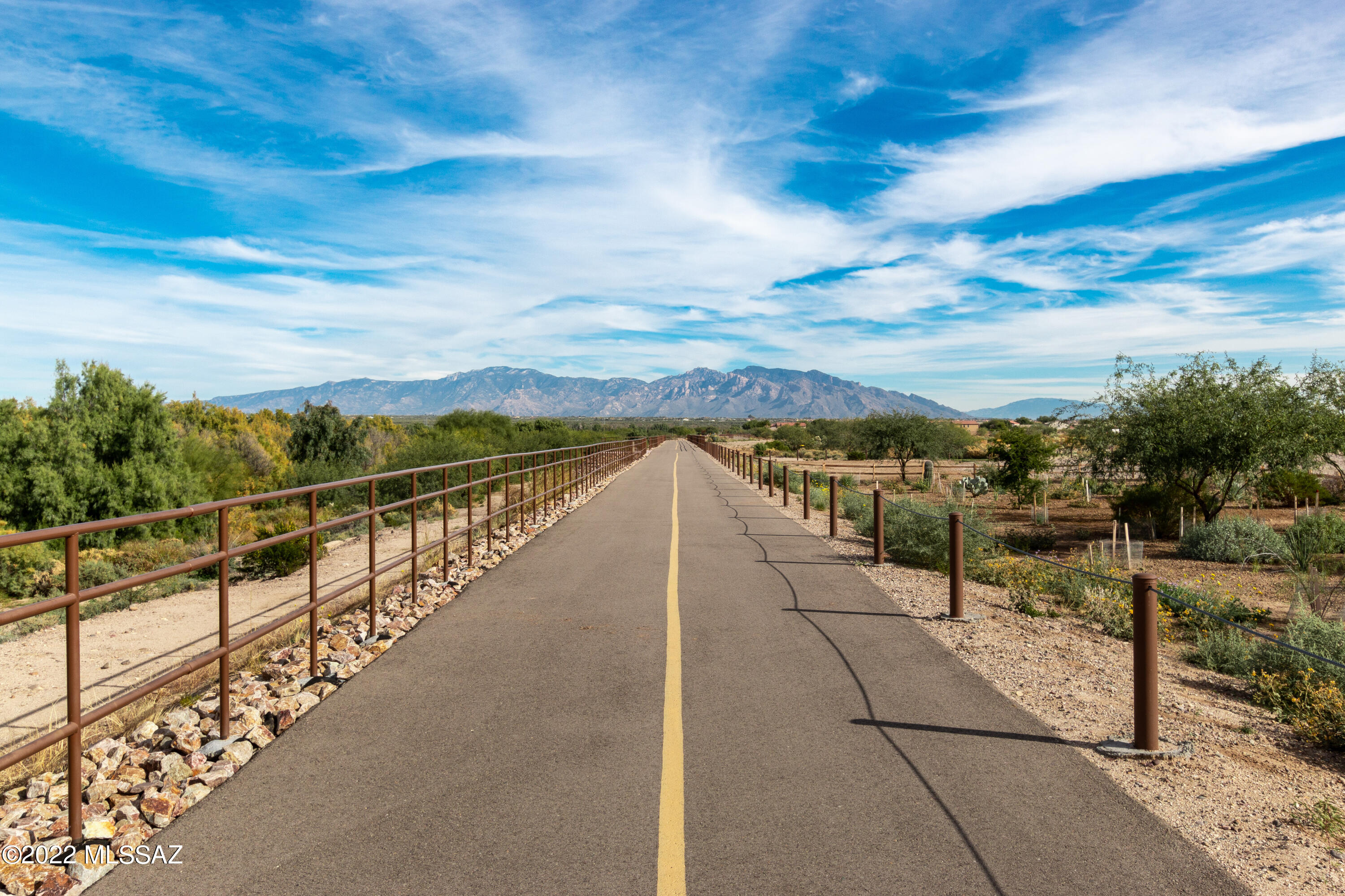 Saguaro Bloom SQ20180540069 - Residential