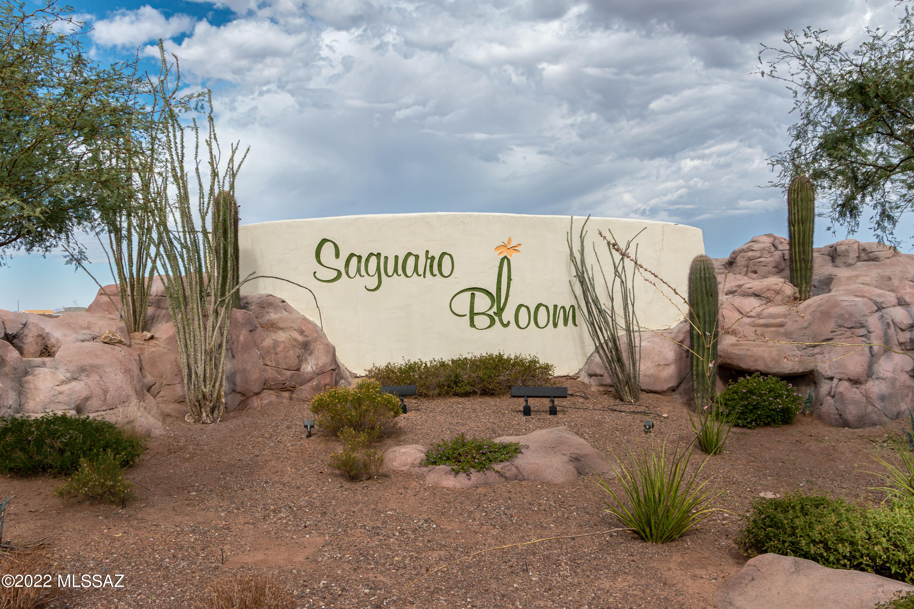 Saguaro Bloom SQ20180540069 - Residential