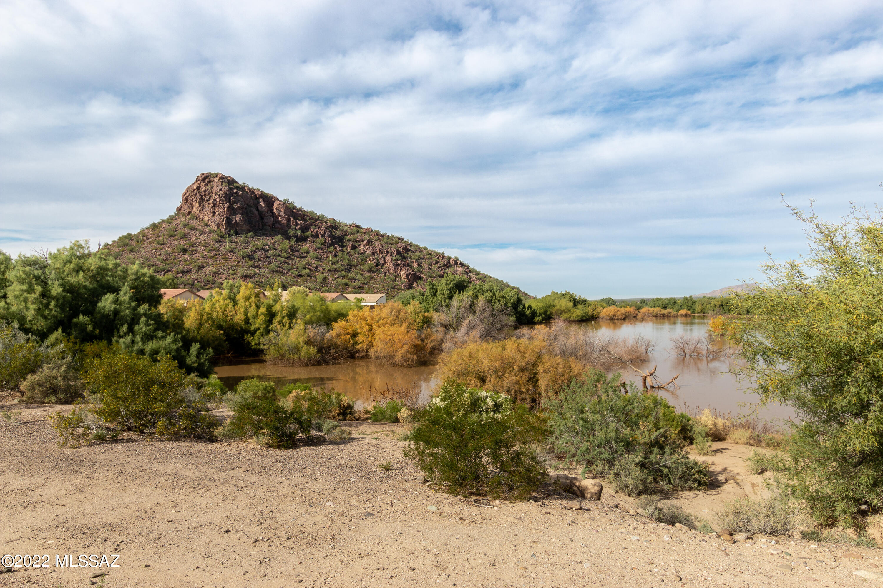 Saguaro Bloom SQ20180540069 - Residential