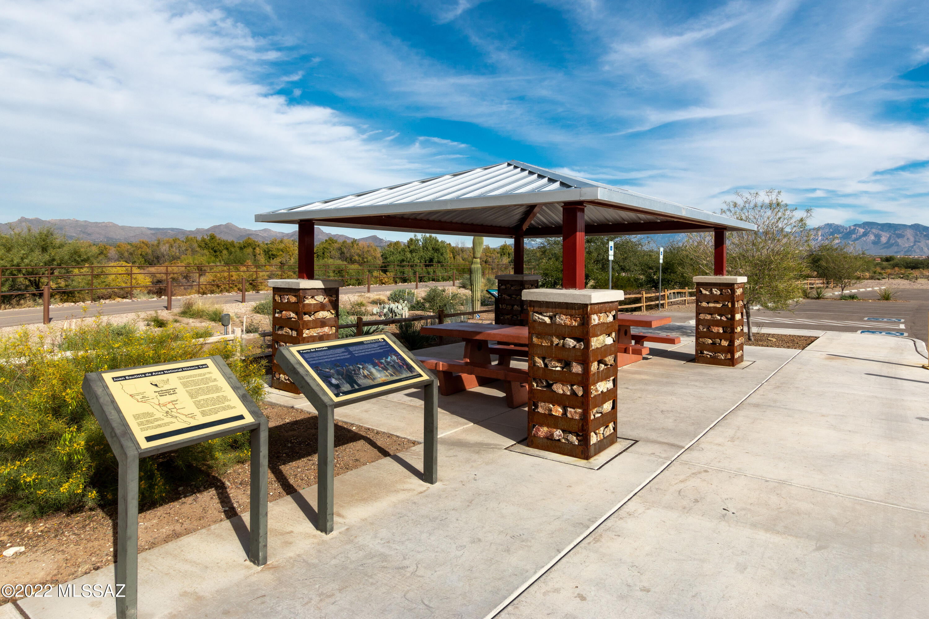 Saguaro Bloom SQ20180540069 - Residential