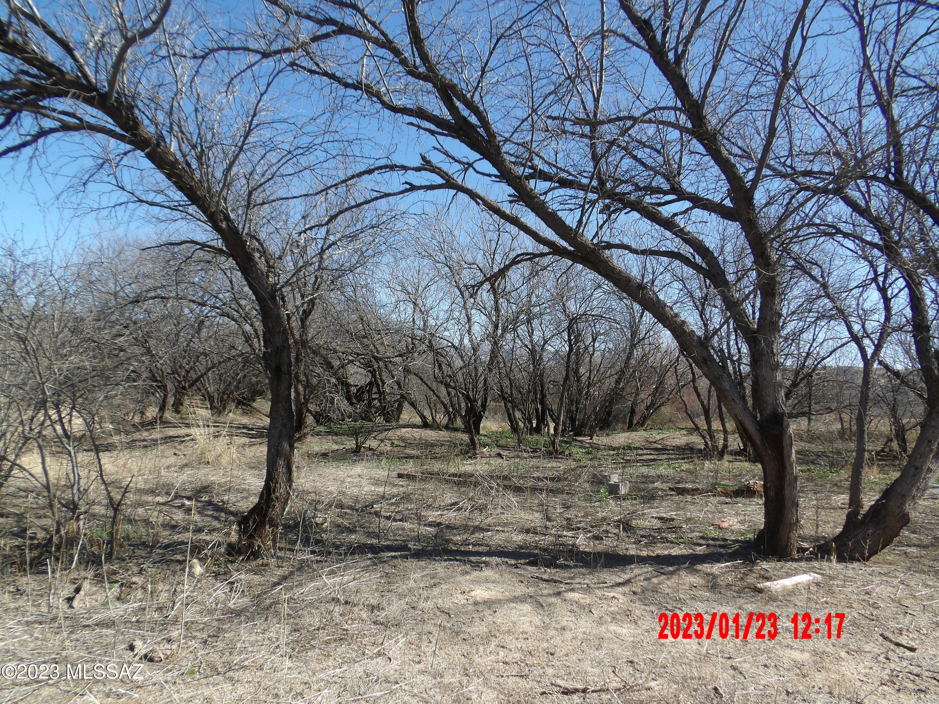 Beautiful Secluded 5 Acres. Free flowing Artesian well located near the NW corner of the property. Birders paradise! There is a partially cleared Building area (SW portion) is NOT is Flood Plain A. This is a special property surrounded by beautiful mountain views and not far from the San Pedro river. The land is located in a mesquite bosque, plus there are some huge old cottonwood trees as well.  Really nice soil for horses/or gardening as it is not rocky. Power is located near the SE corner. Rare to find property with an artesian well.