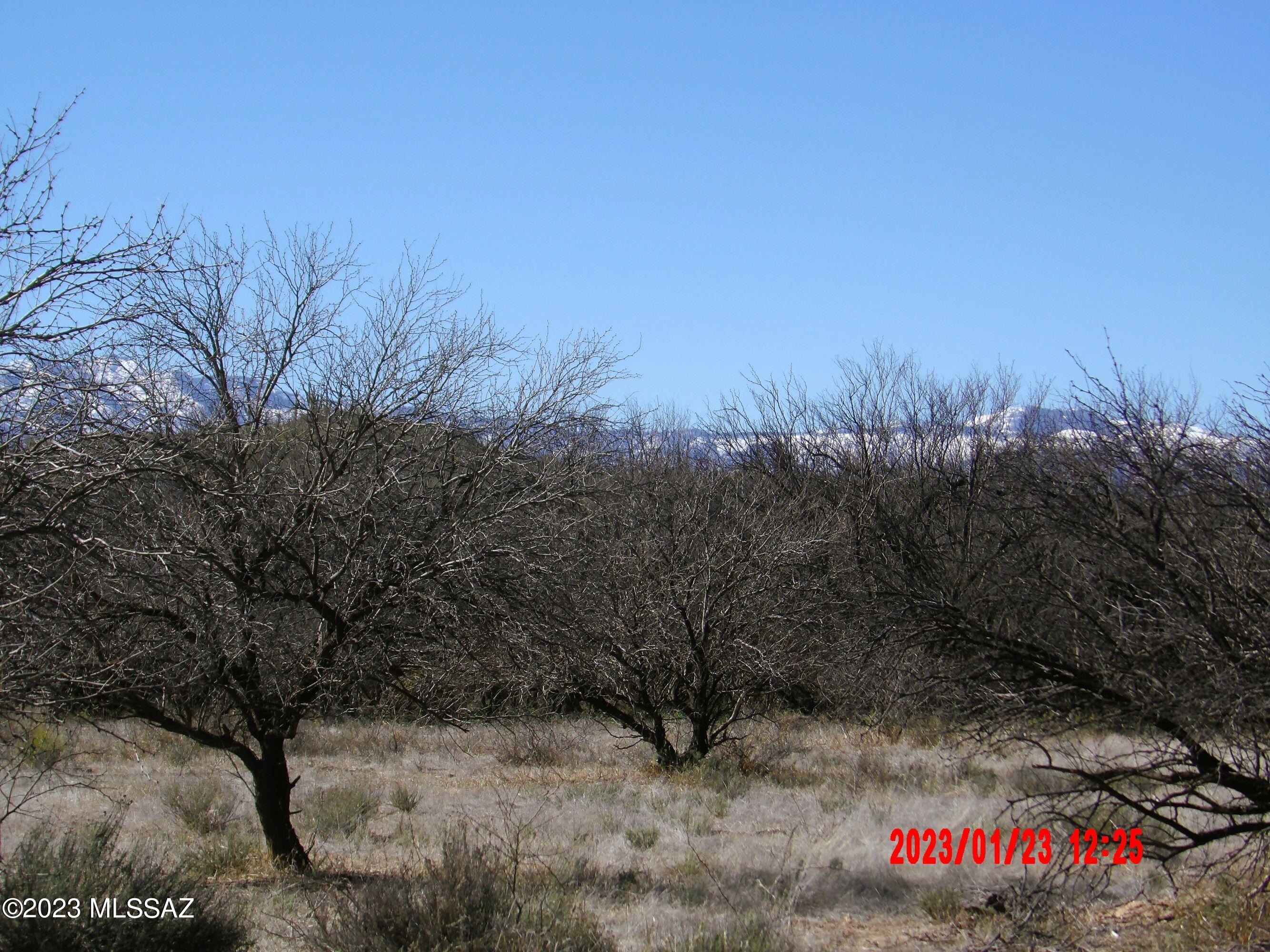 Unsubdivided - Land