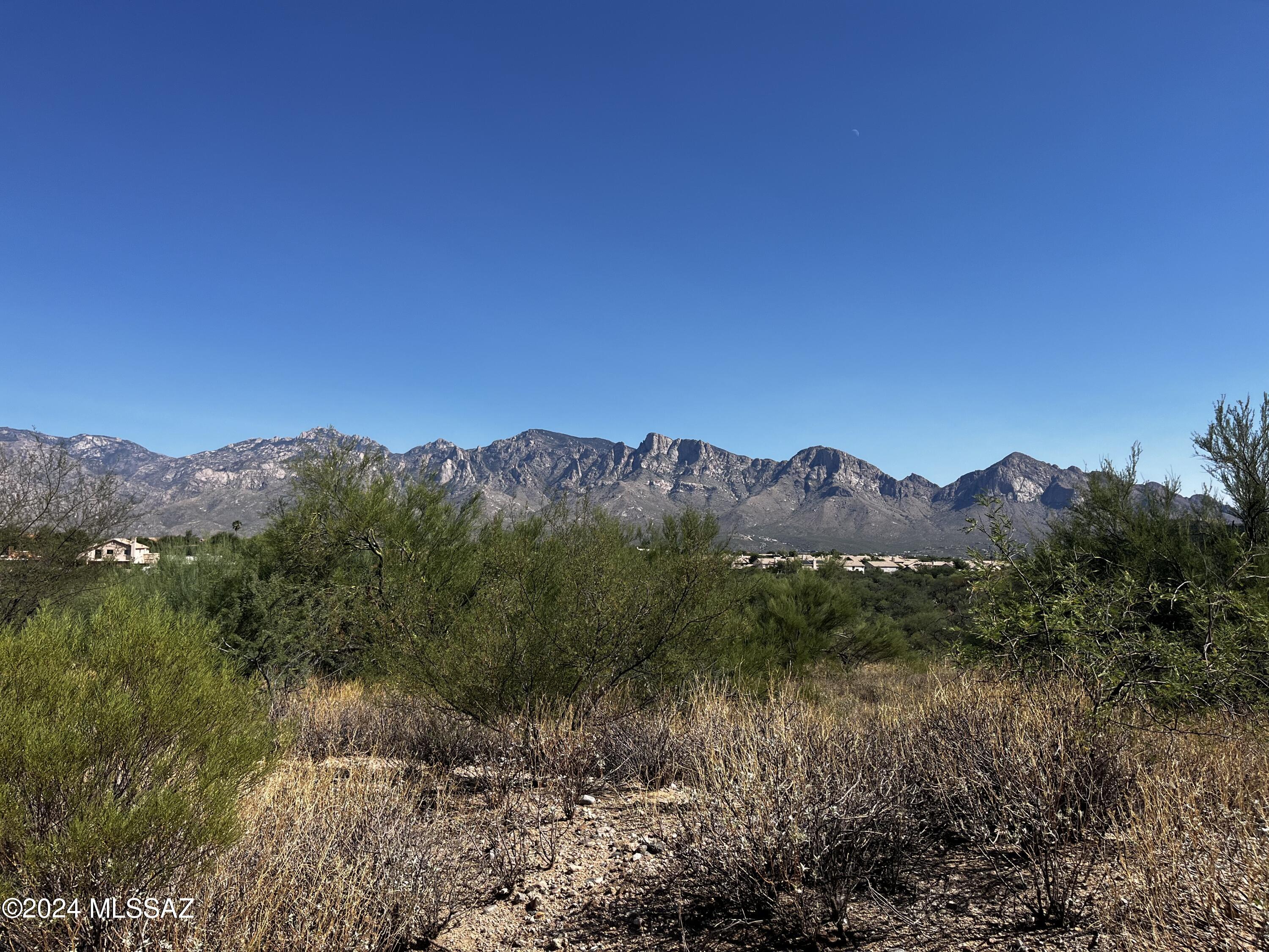 VIEWS! VIEWS! VIEWS! This 1+ acre flag lot is situated on a foothill above a wash with gigantic views of the Catalinas. Last remaining lot nestled in a cozy gated neighborhood of approximately 40 custom luxury homes.  Builder spec home but can be purchased at any time, prior to construction or during construction.  See suggested floor plan at photos, designed for total privacy. You would be lucky to call this home. Close to absolutely everything in highly coveted Oro Valley. Not too late to add an RV garage if desired, plans subject to minor changes. Builder is DreamBuild LLC, Barbara J. DeWitt, owner/designer/licensed agent.