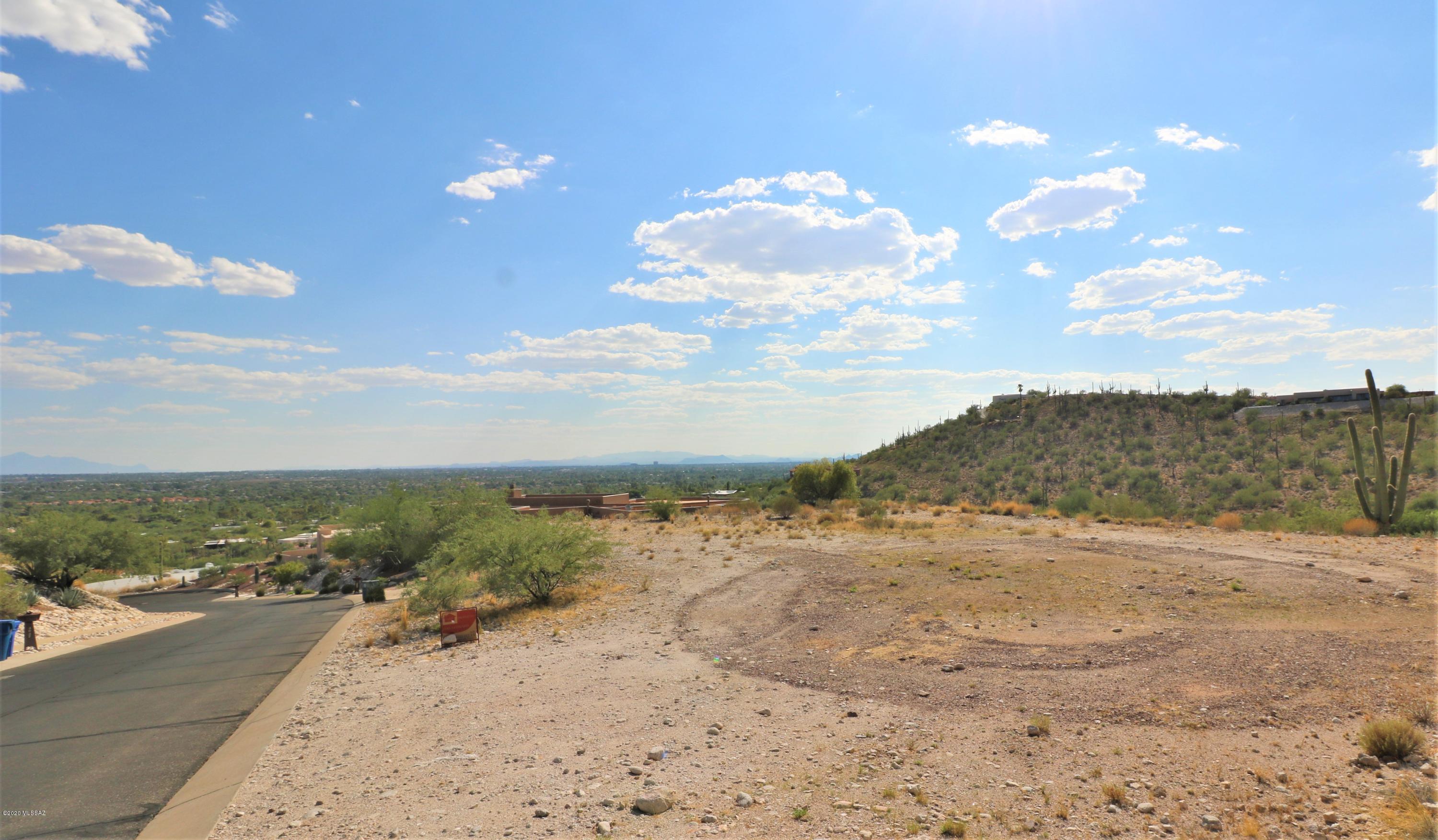 Sabino Mountain (1-290) - Land