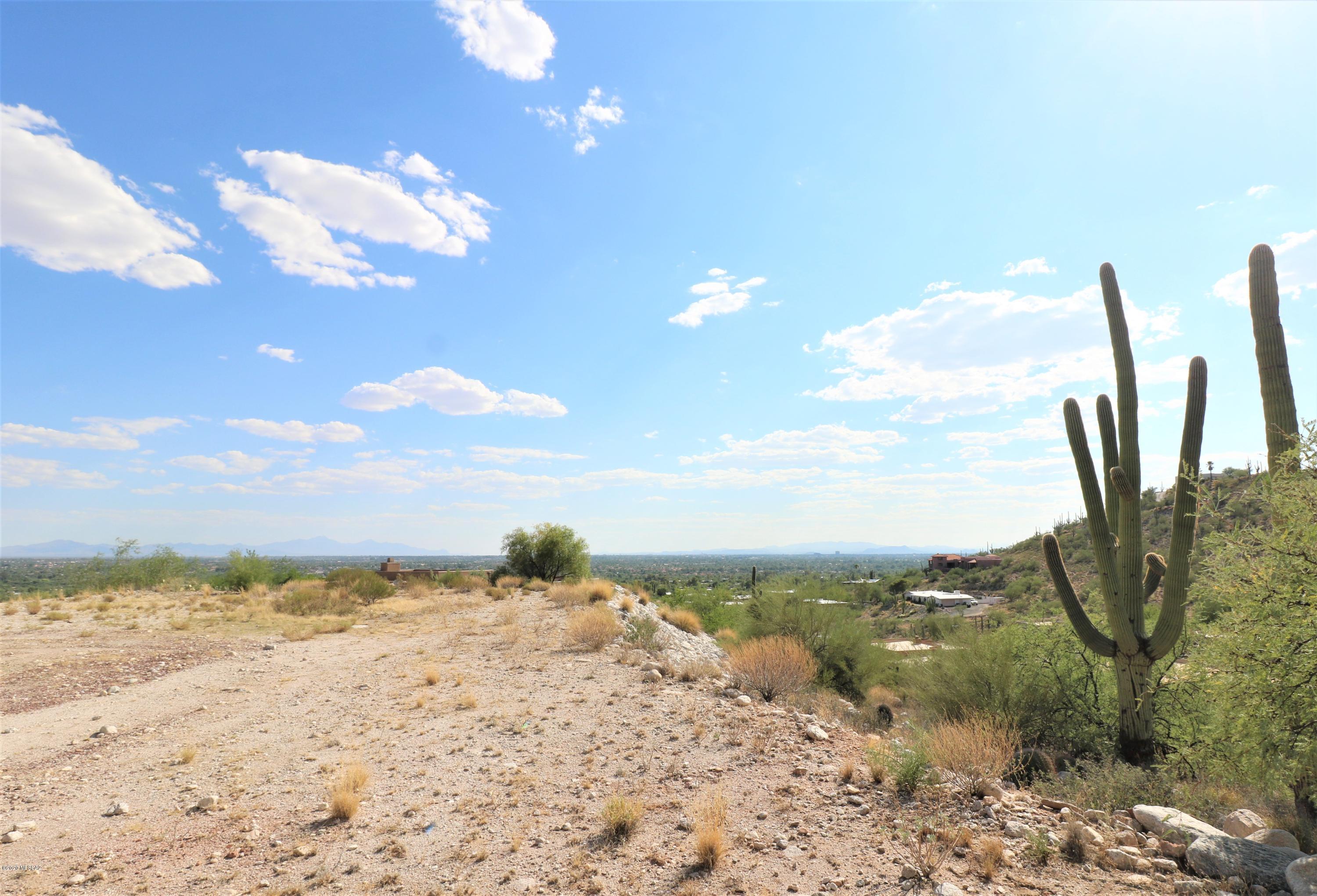 Sabino Mountain (1-290) - Land