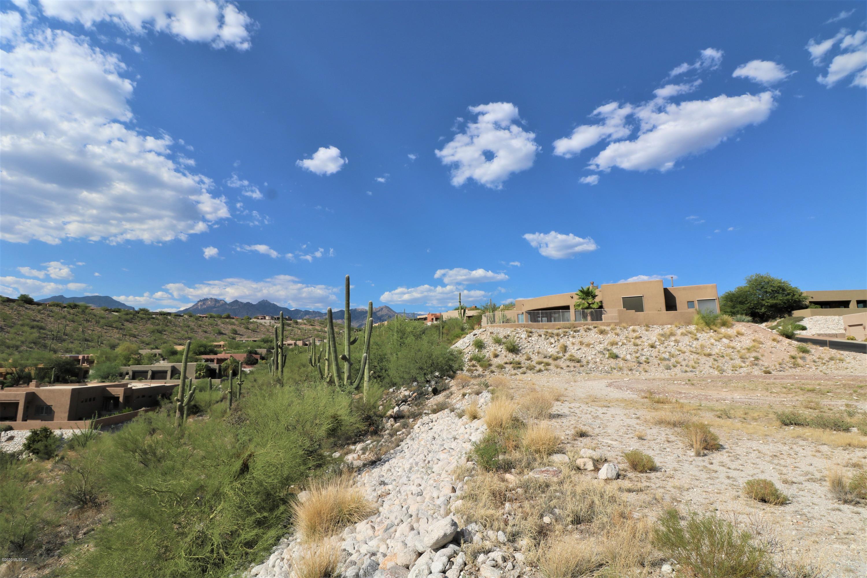 Sabino Mountain (1-290) - Land