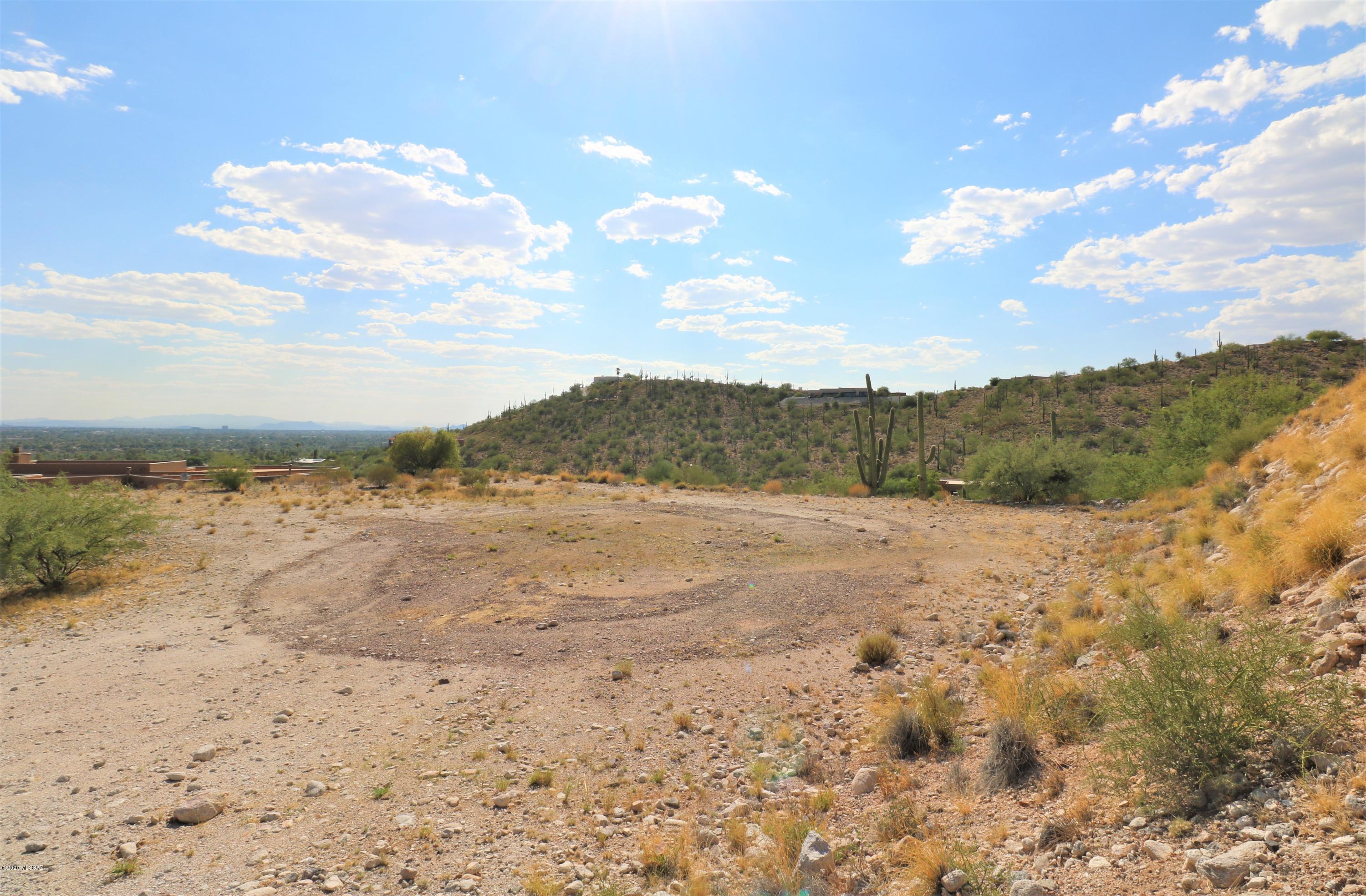 Sabino Mountain (1-290) - Land