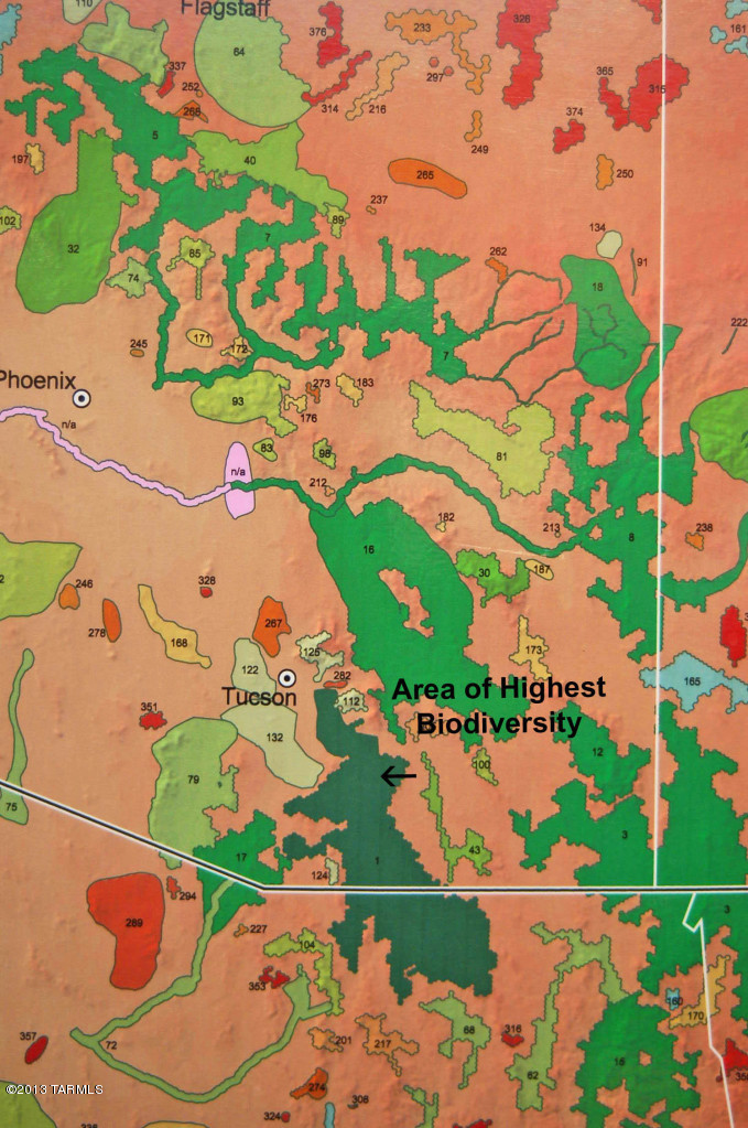 Out Of Pima County - Land