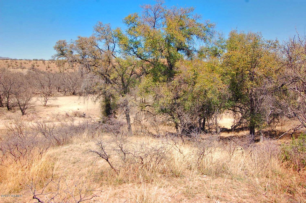 Out Of Pima County - Land