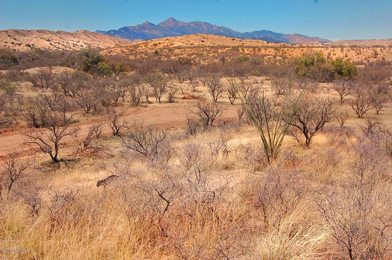 Out Of Pima County - Land