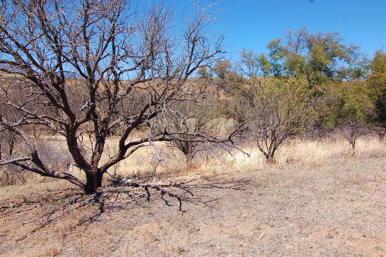 Own a part of the historic Lazy RR Ranch. Great horse property with 360 views of the Santa Rita, Patagonia & Canelo Hills.
This very special property offers the 
region's habitat for grassland
animals and birds unique to the high desert of SE Arizona. A variety of native plants, incl, cacti, several species of Oak, Juniper & native grasses complete the picture of this remarkable property. 1 hr Tucson. This parcel is not dividable.