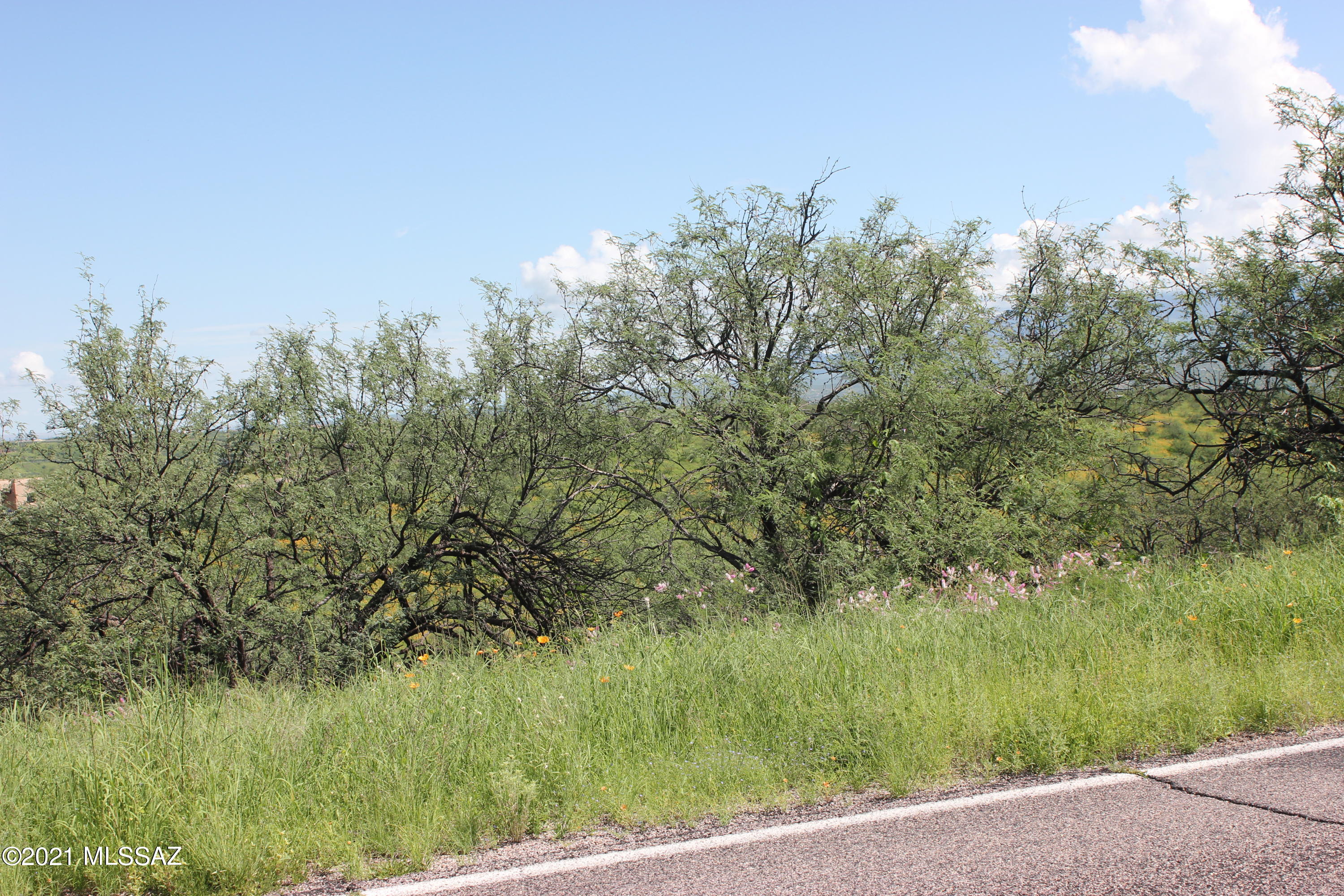 Rio Rico Ranchettes 9 - Land