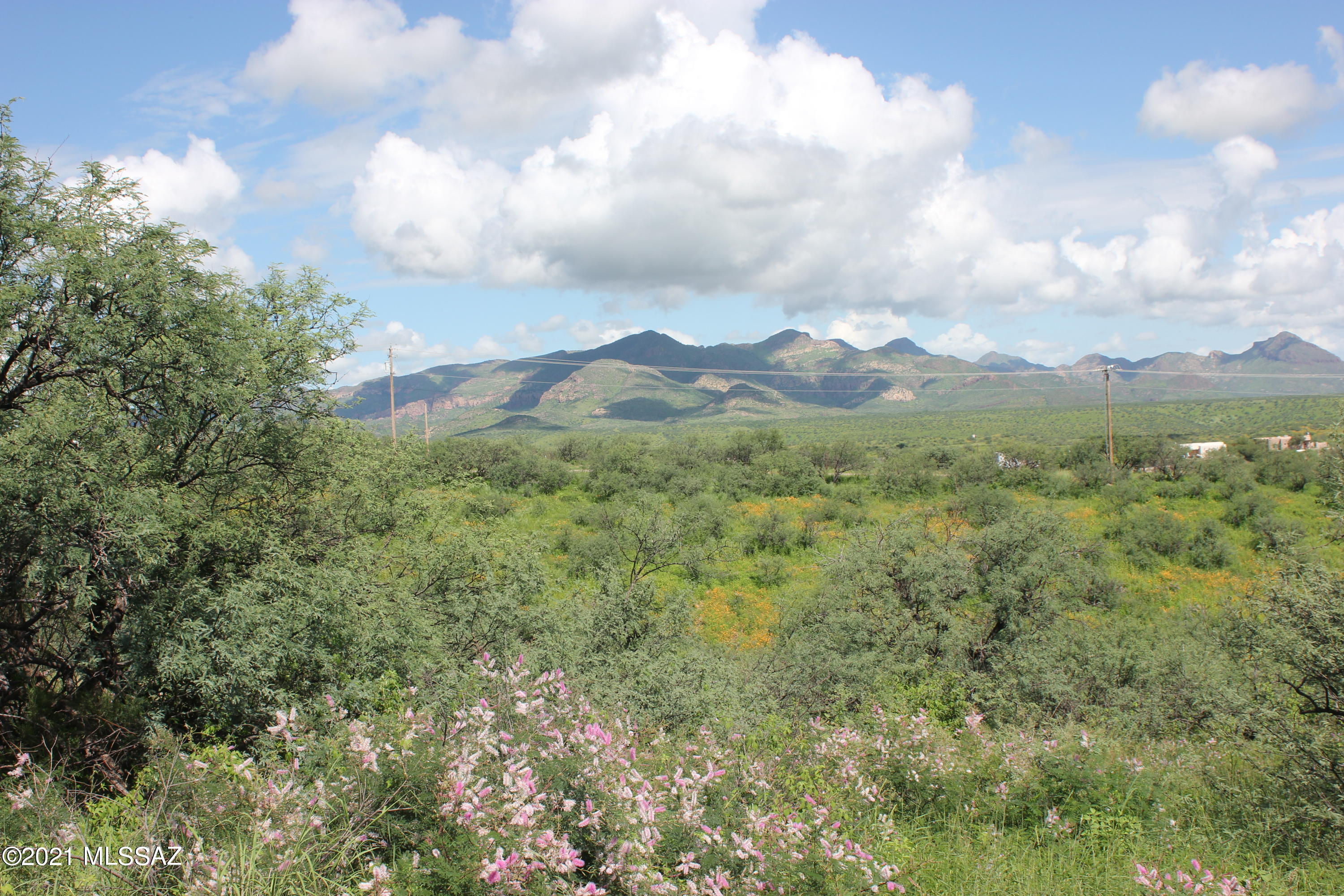 Rio Rico Ranchettes 9 - Land