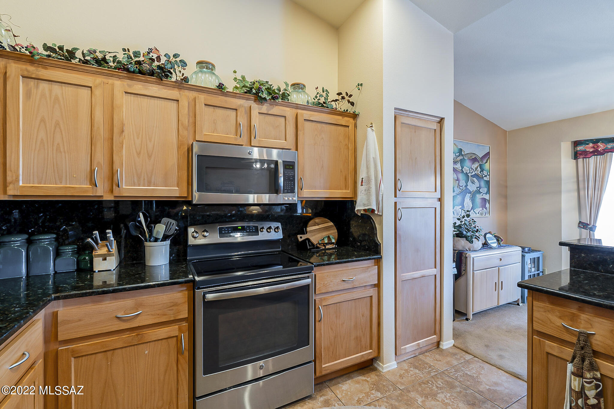 Saddlebrooke - Residential