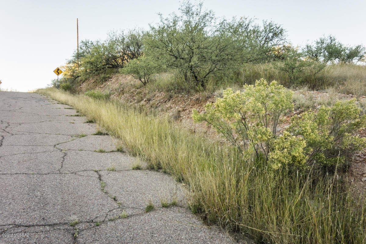 Located in a quiet, paved, west side Rio Rico neighborhood with a primarily north / south exposure off the principal road, approximately 1.5  miles from the local shopping,  the property is available to build your custom home.  The lot terrain includes grasses, brush and mesquite trees,  extends from level at the street, to a higher ridge top area where east / west mountain views are visible.