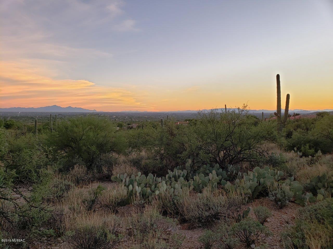 Sabino Estates (1-45) - Land