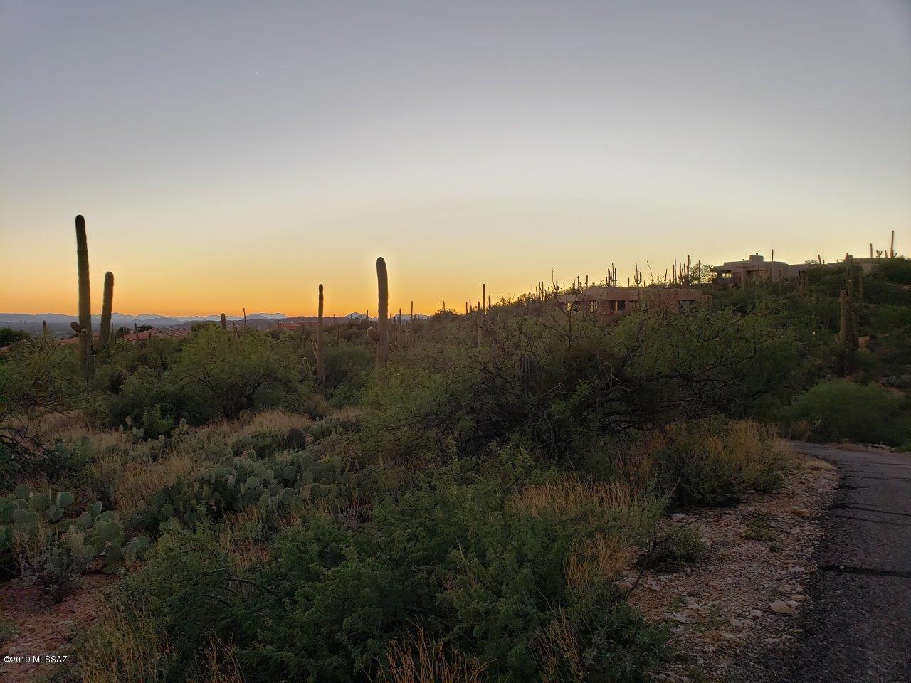 Gorgeous city light views off this cul-de-sac lot in Sabino Springs. Build your dream home wrapped around mature saguaros and seasonal creeks. This lot overlooks the Arizona National Golf Course and is surrounded by active wildlife trails & natural vegetation. This gated community offers privacy, security, fitness center, rec room, community pool & spa. Noted architect/builder, Randel Jacob has created a representative site plan showing potential lot coverage within the grading requirements. Utilities are at the property, all you need is your imagination.